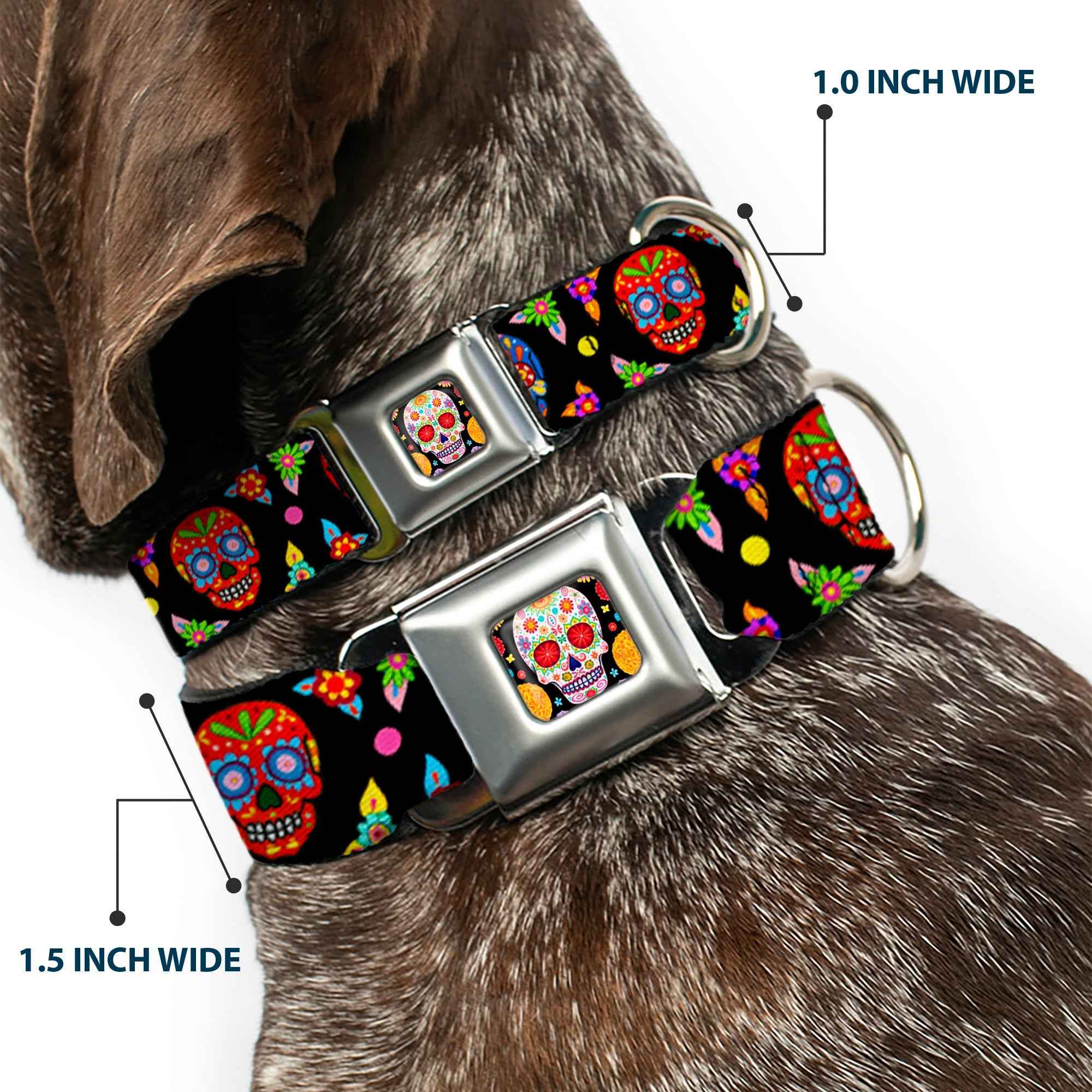 Buckle-Down Sugar Skull Starburst Full Color Black/Multicolor Seatbelt Buckle Dog Collar - Colorful Calaveras Black/Multicolor