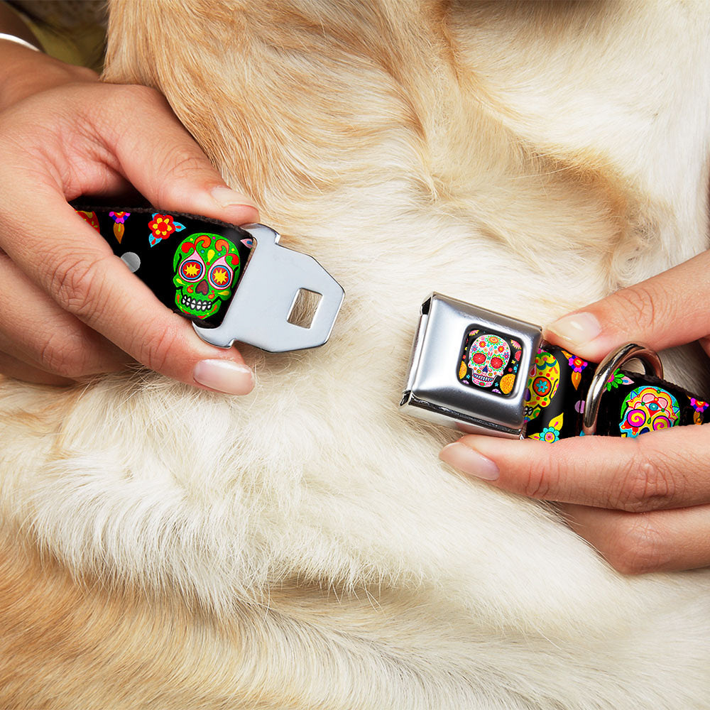 Buckle-Down Sugar Skull Starburst Full Color Black/Multicolor Seatbelt Buckle Dog Collar - Colorful Calaveras Black/Multicolor
