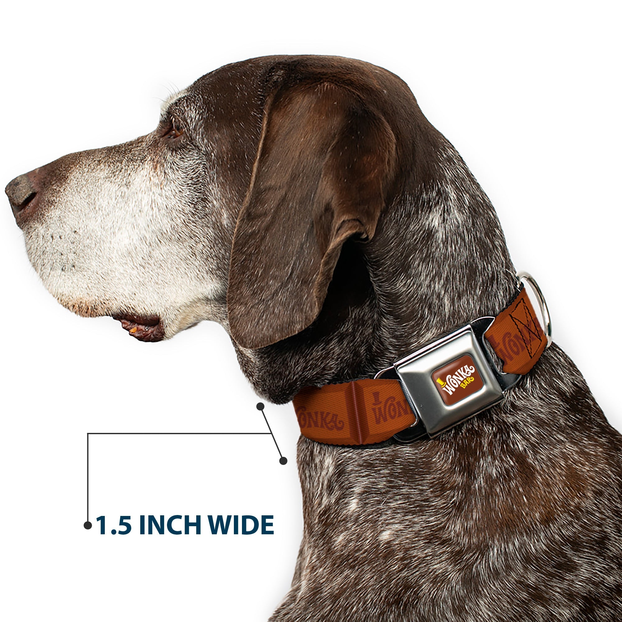 Buckle-Down Willy Wonka and the Chocolate Factory Wonka Bar Logo & Chocolate Bar Browns Seatbelt Buckle Dog Collar