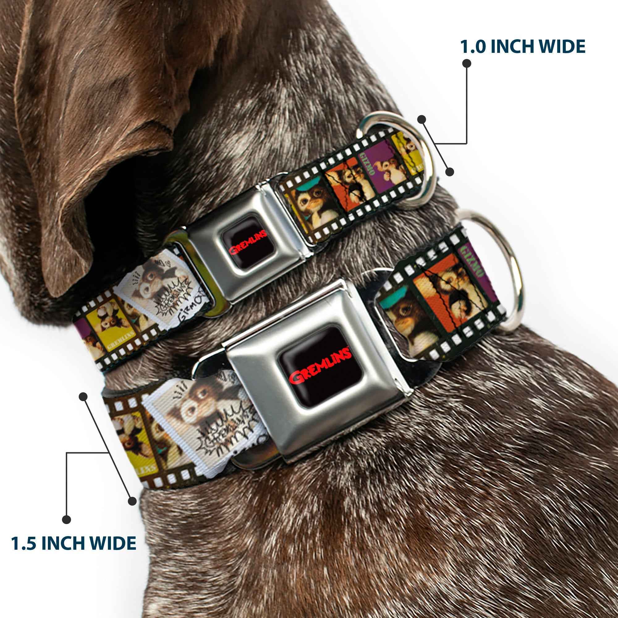Buckle-Down Gremlins Text Logo Full Color Black/Red Seatbelt Buckle Dog Collar - Gremlins Gizmo Filmstrip Poses Multicolor