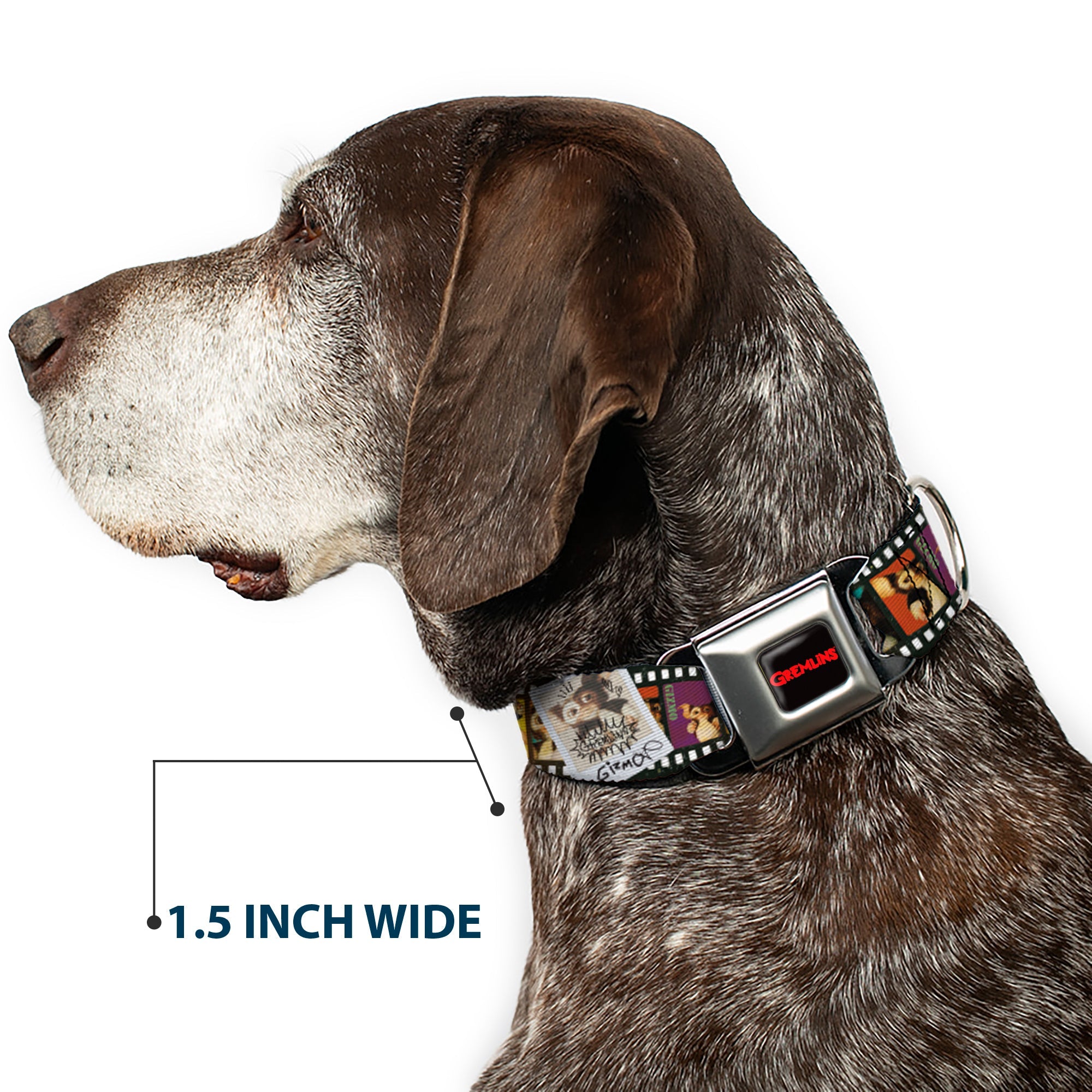 Buckle-Down Gremlins Text Logo Full Color Black/Red Seatbelt Buckle Dog Collar - Gremlins Gizmo Filmstrip Poses Multicolor