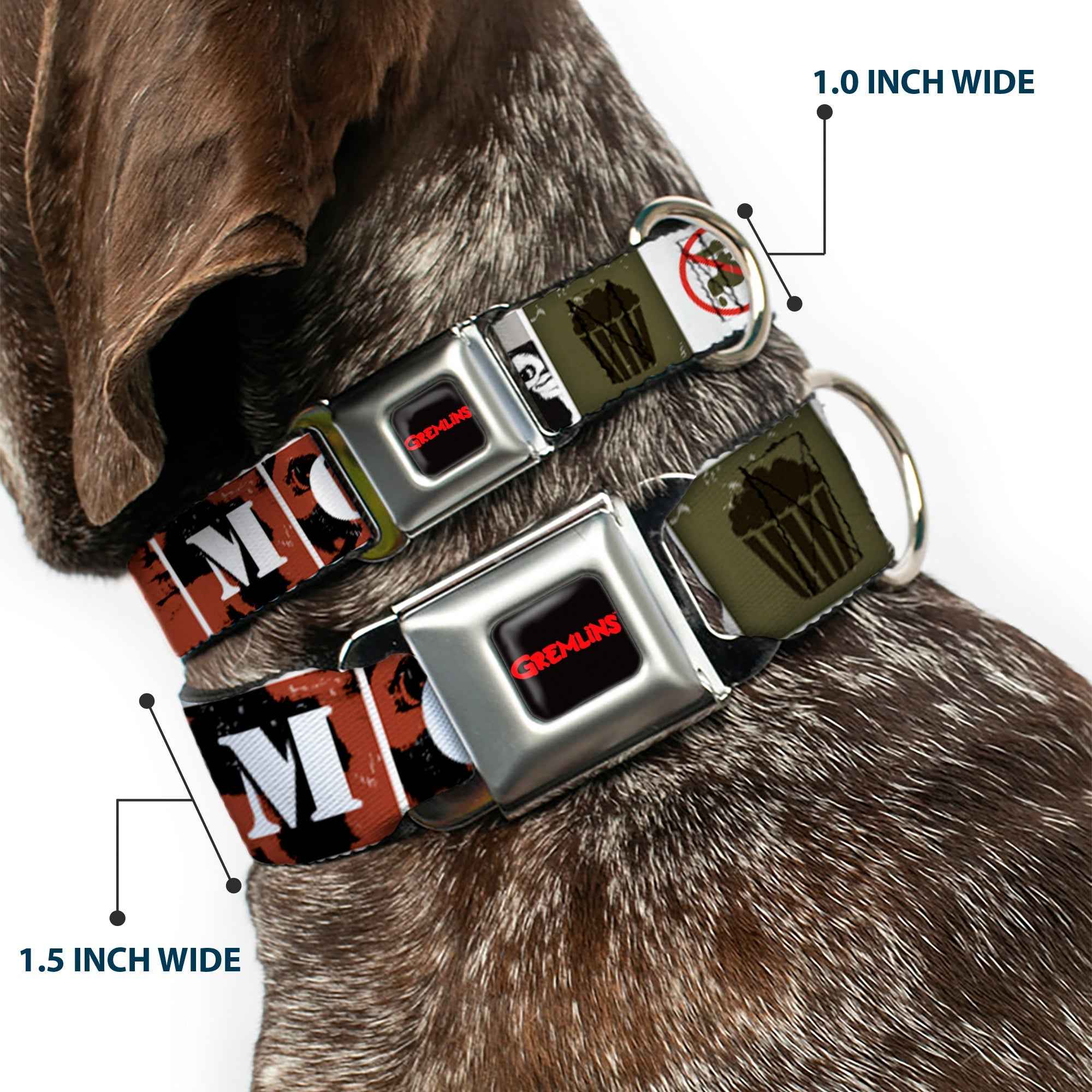 Buckle-Down Gremlins Text Logo Full Color Black/Red Seatbelt Buckle Dog Collar - Gremlins Gizmo Poses/Rules Blocks Red/Greens/Grays/White