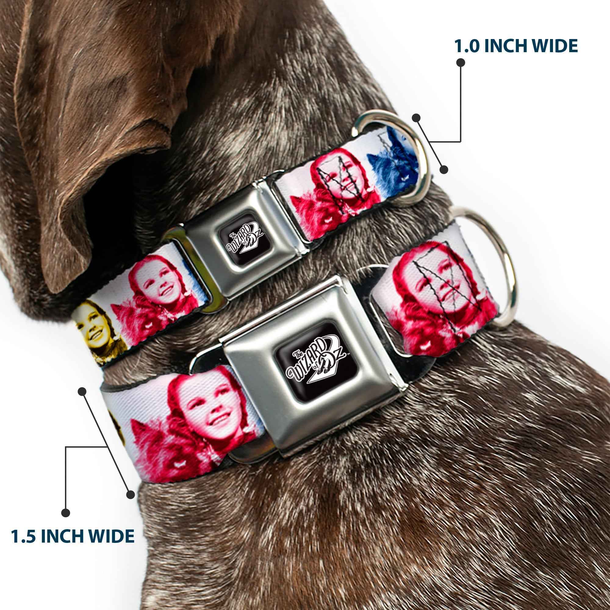 Buckle-Down The Wizard Of Oz Title Logo Black/White & Dorothy and Toto Pose Blocks Seatbelt Buckle Dog Collar