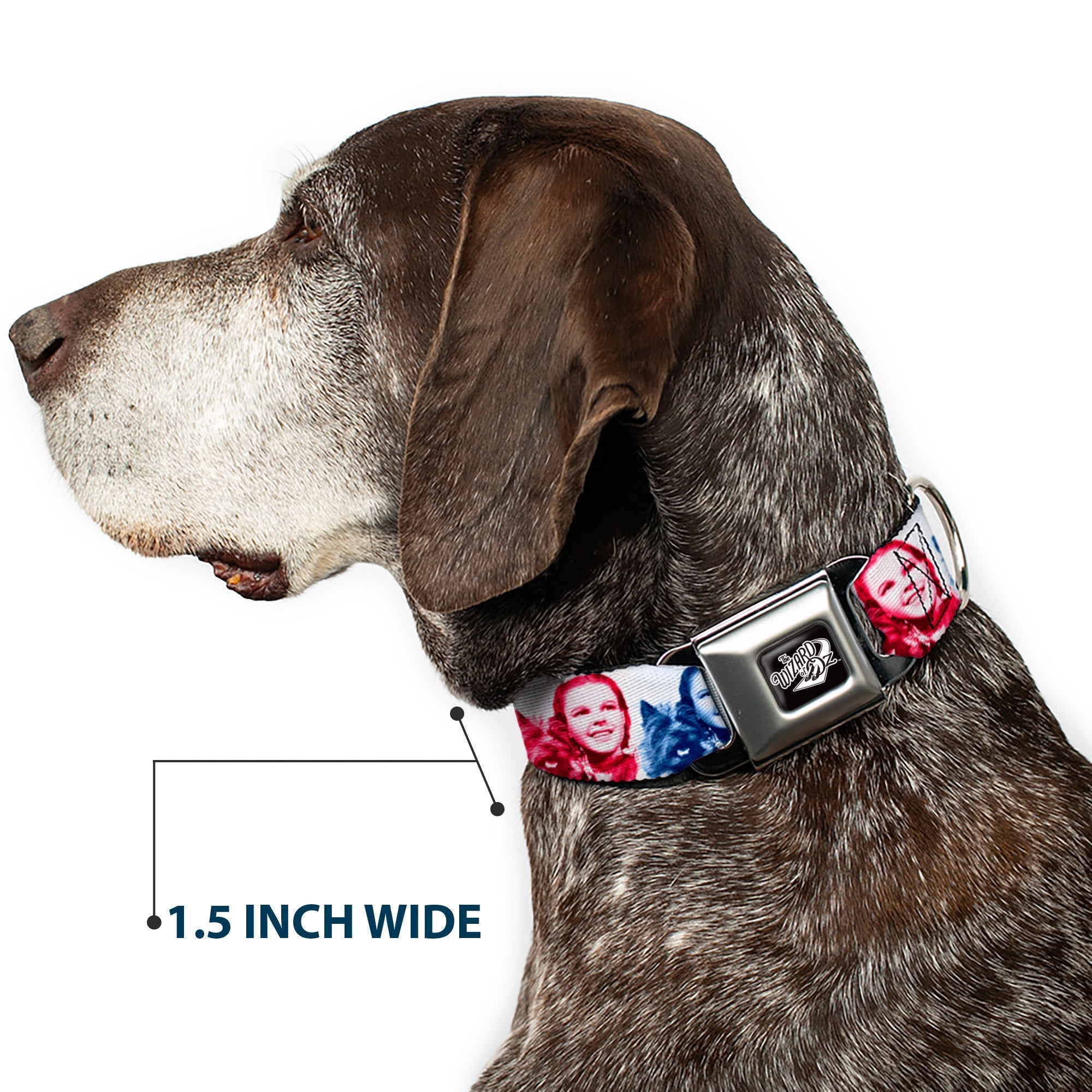 Buckle-Down The Wizard Of Oz Title Logo Black/White & Dorothy and Toto Pose Blocks Seatbelt Buckle Dog Collar