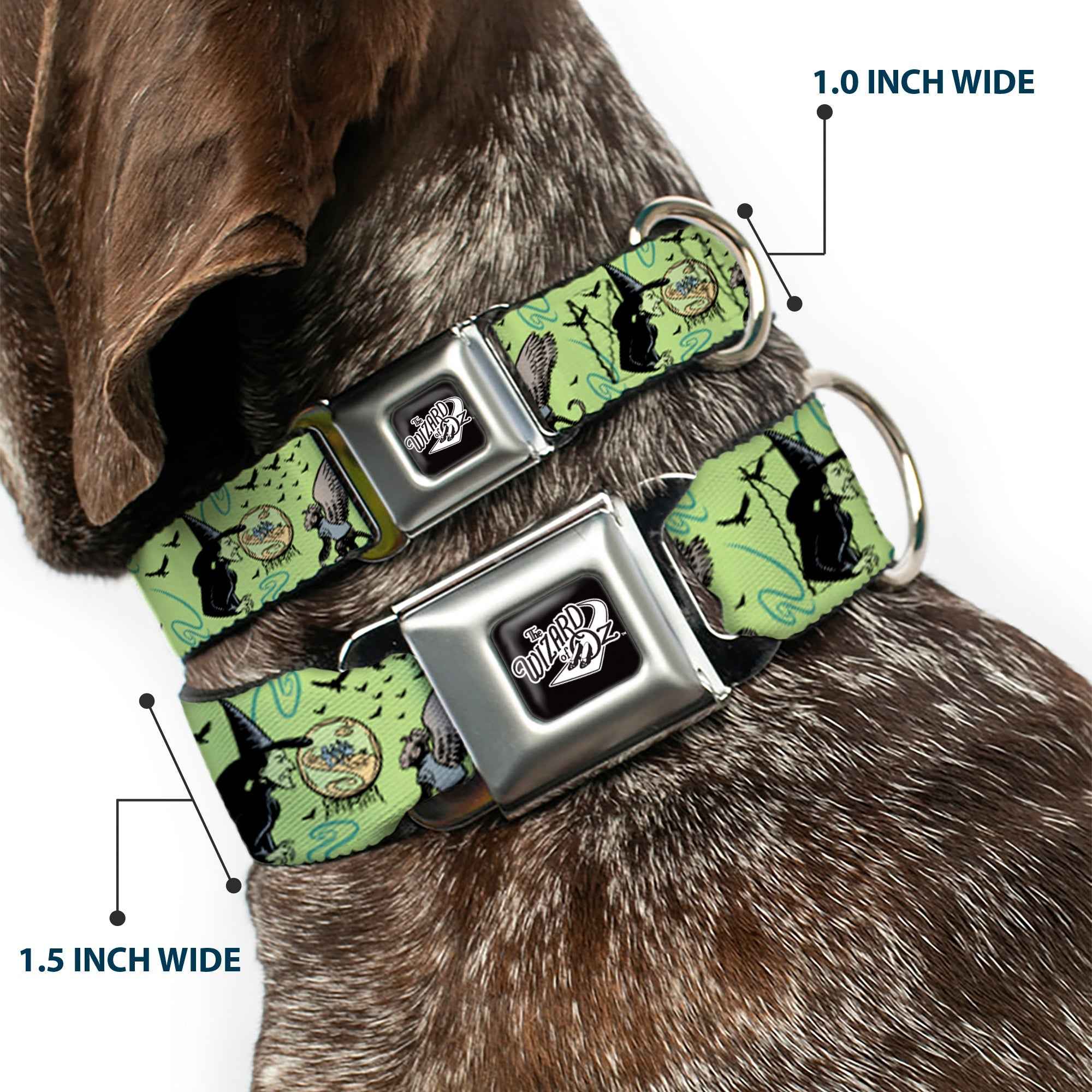 Buckle-Down The Wizard Of Oz Title Logo Black/White & Wicked Witch of the West and Flying Monkeys Seatbelt Buckle Dog Collar