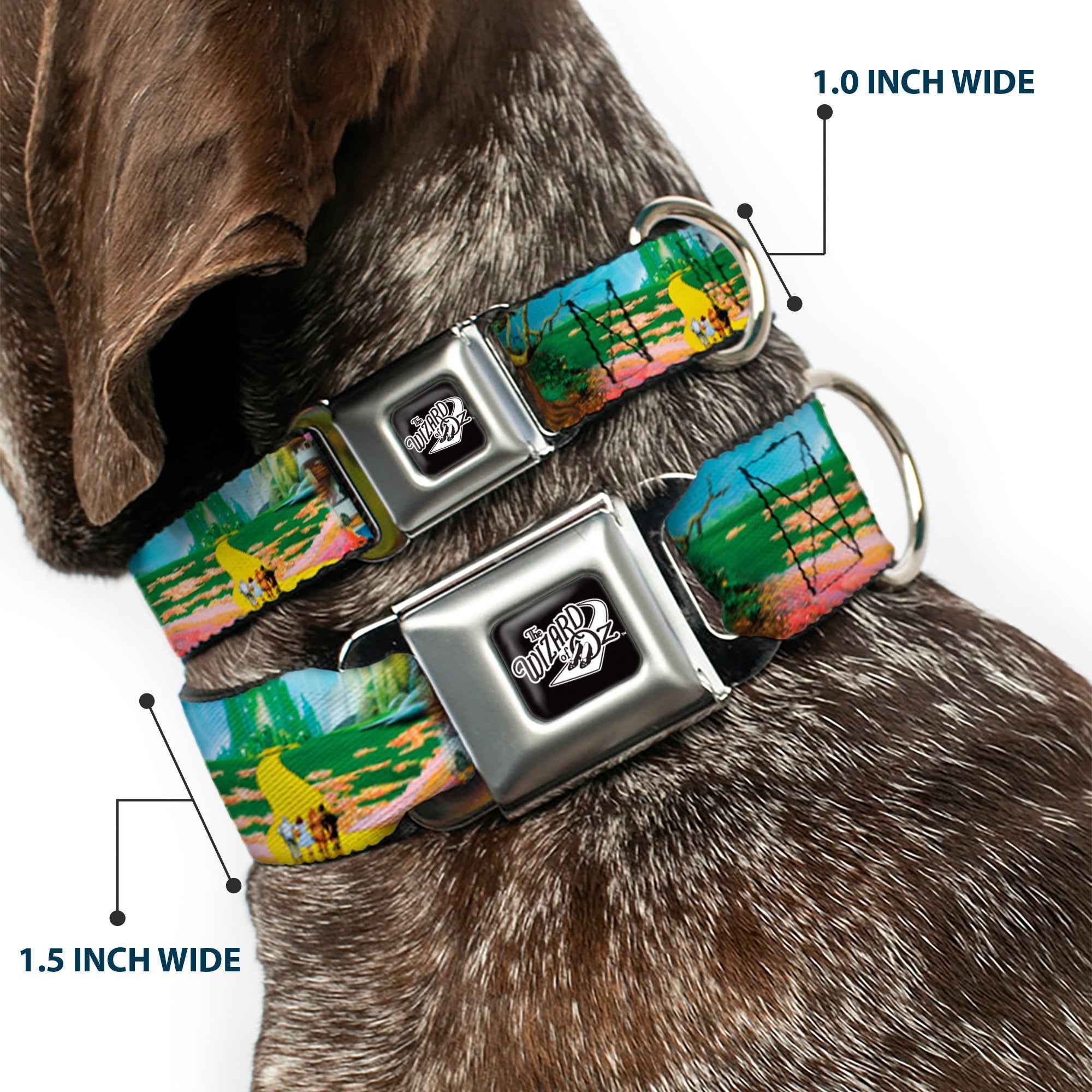 Buckle-Down The Wizard Of Oz Title Logo Full Color Black/White Seatbelt Buckle Dog Collar - The Wizard of Oz Yellow Brick Road Scenes