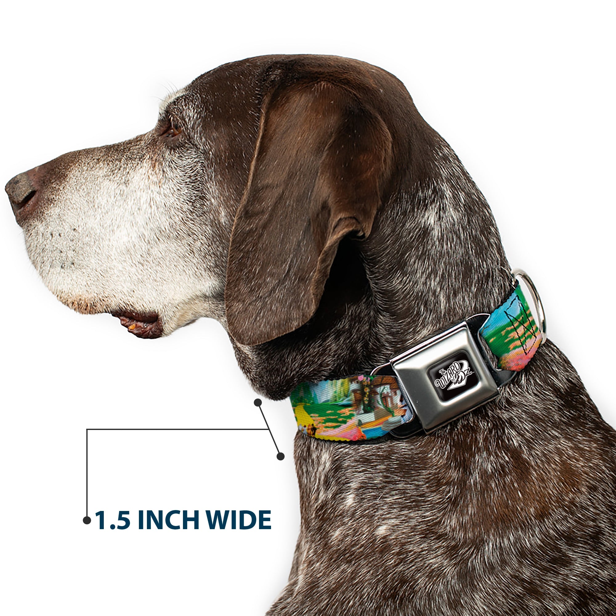 Buckle-Down The Wizard Of Oz Title Logo Full Color Black/White Seatbelt Buckle Dog Collar - The Wizard of Oz Yellow Brick Road Scenes