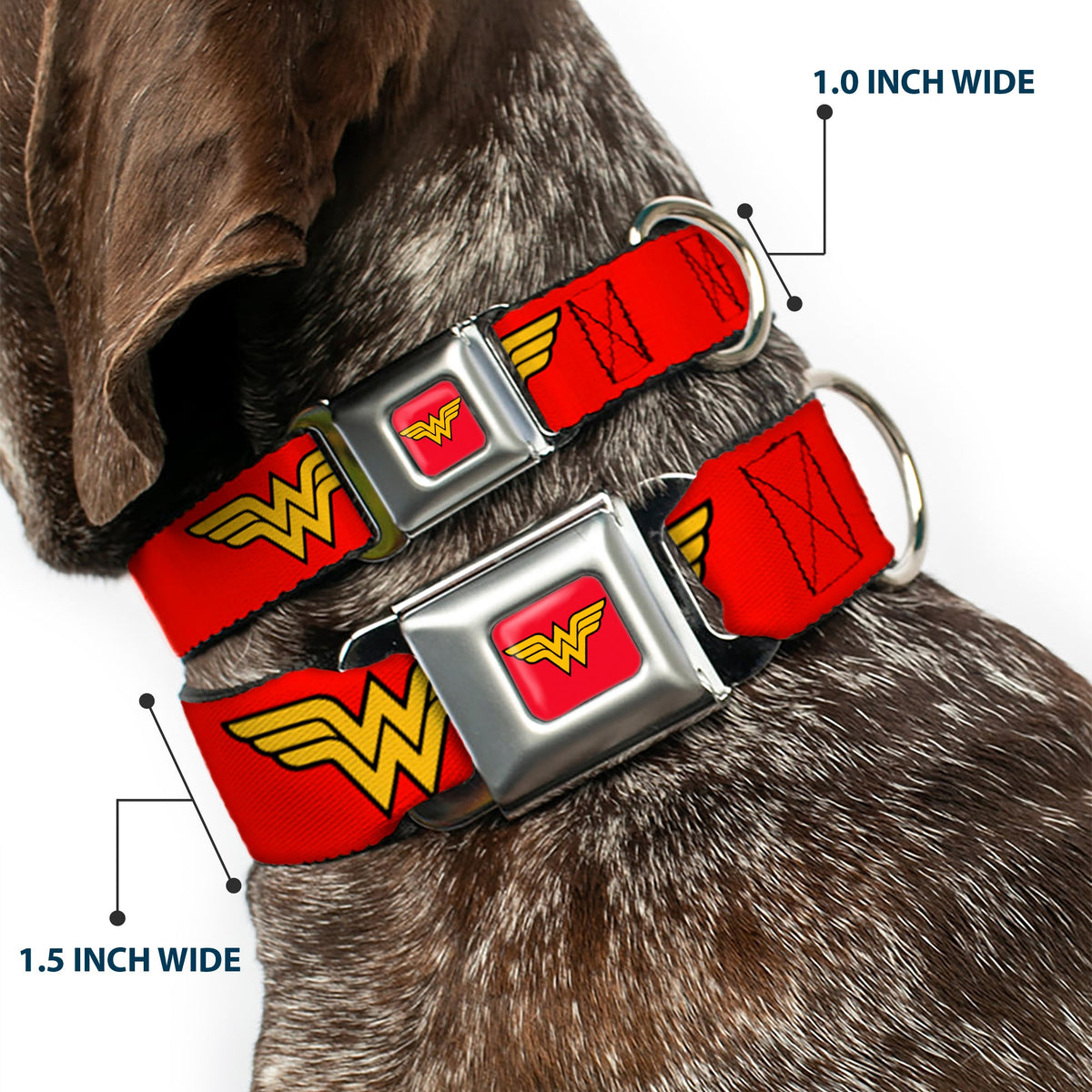 Wonder Woman Logo Full Color Red Seatbelt Buckle Collar - Wonder Woman Logo Red