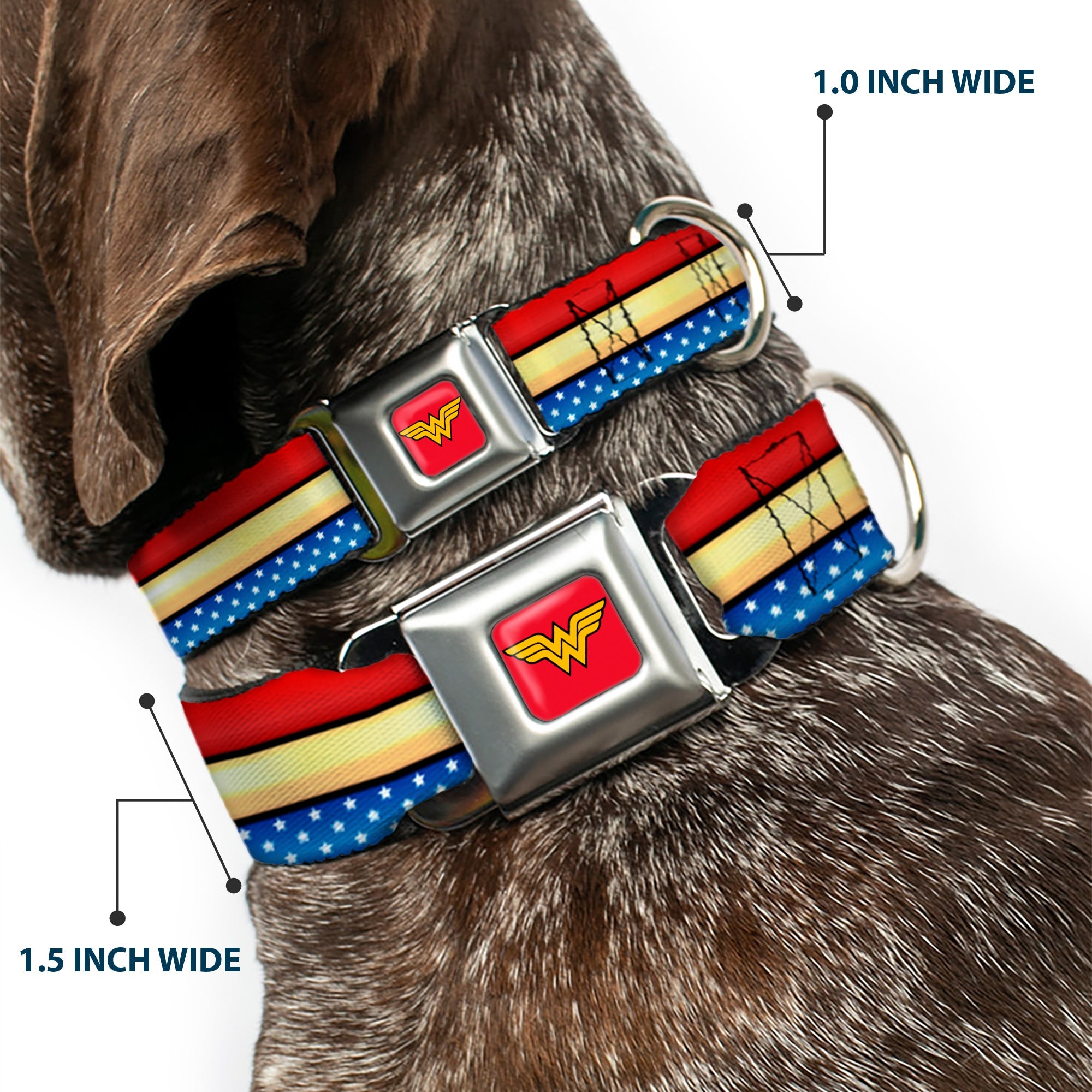 Wonder Woman Logo Full Color Red Seatbelt Buckle Collar - Wonder Woman Stripe/Stars Red/Gold/Blue/White