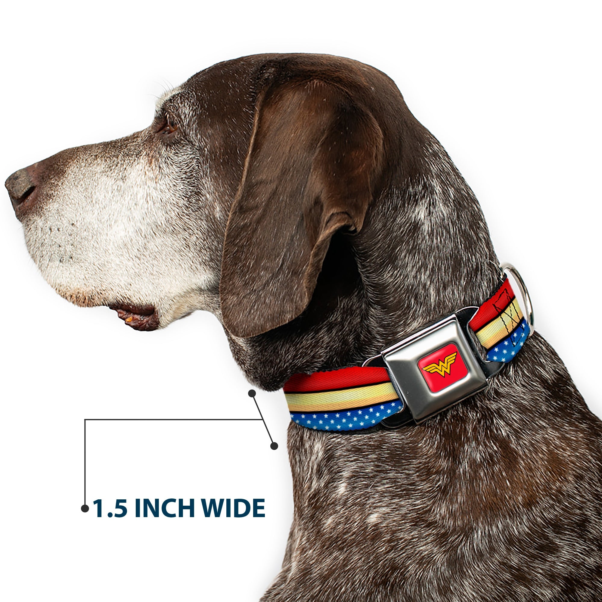 Wonder Woman Logo Full Color Red Seatbelt Buckle Collar - Wonder Woman Stripe/Stars Red/Gold/Blue/White