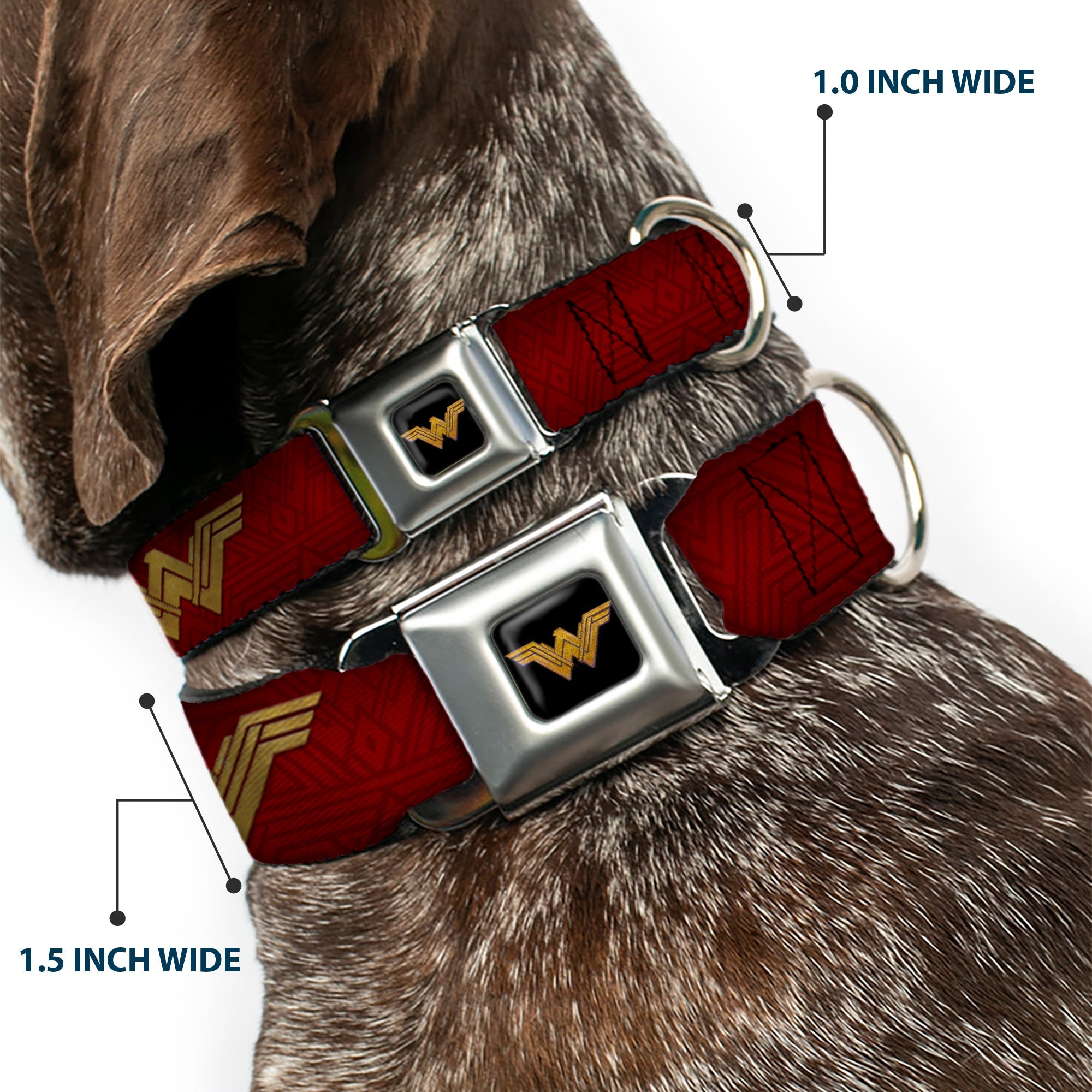 Wonder Woman 2017 Icon Full Color Black/Gold Seatbelt Buckle Collar - Wonder Woman 2017 Icon Reds/Golds