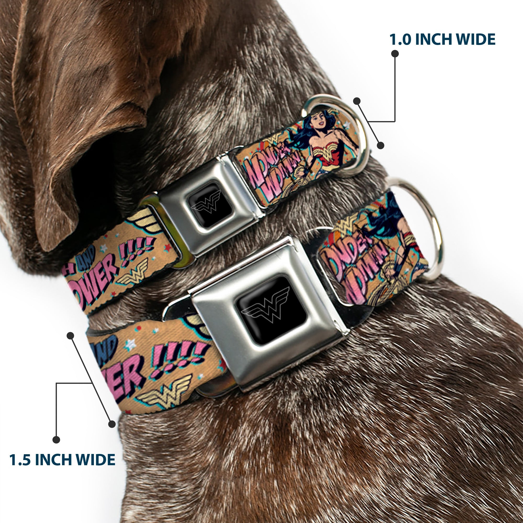 Wonder Woman Black/Silver Seatbelt Buckle Collar - Wonder Woman Strength & Power