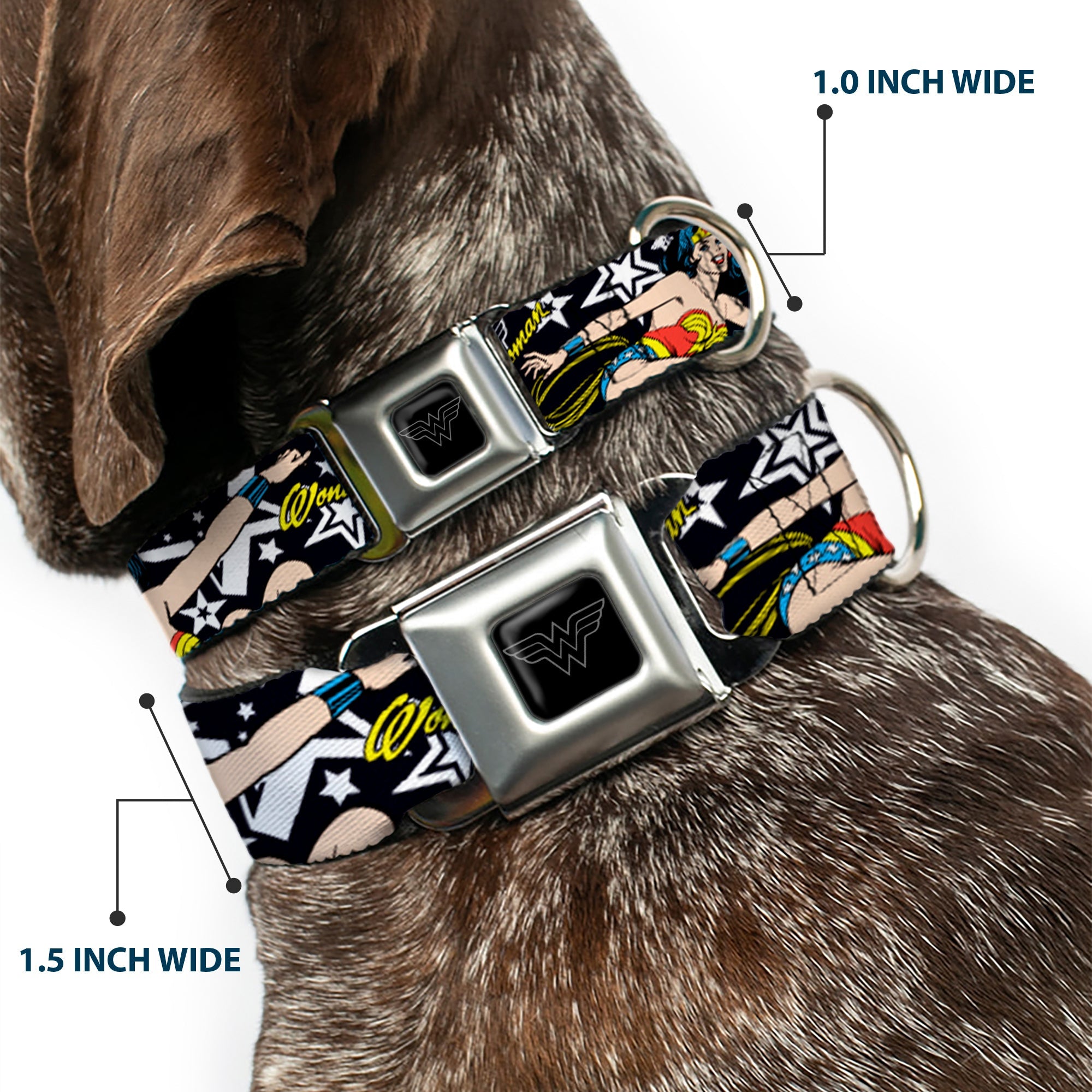 Wonder Woman Black Silver Seatbelt Buckle Collar - Wonder Woman/StarsÂ Black/White