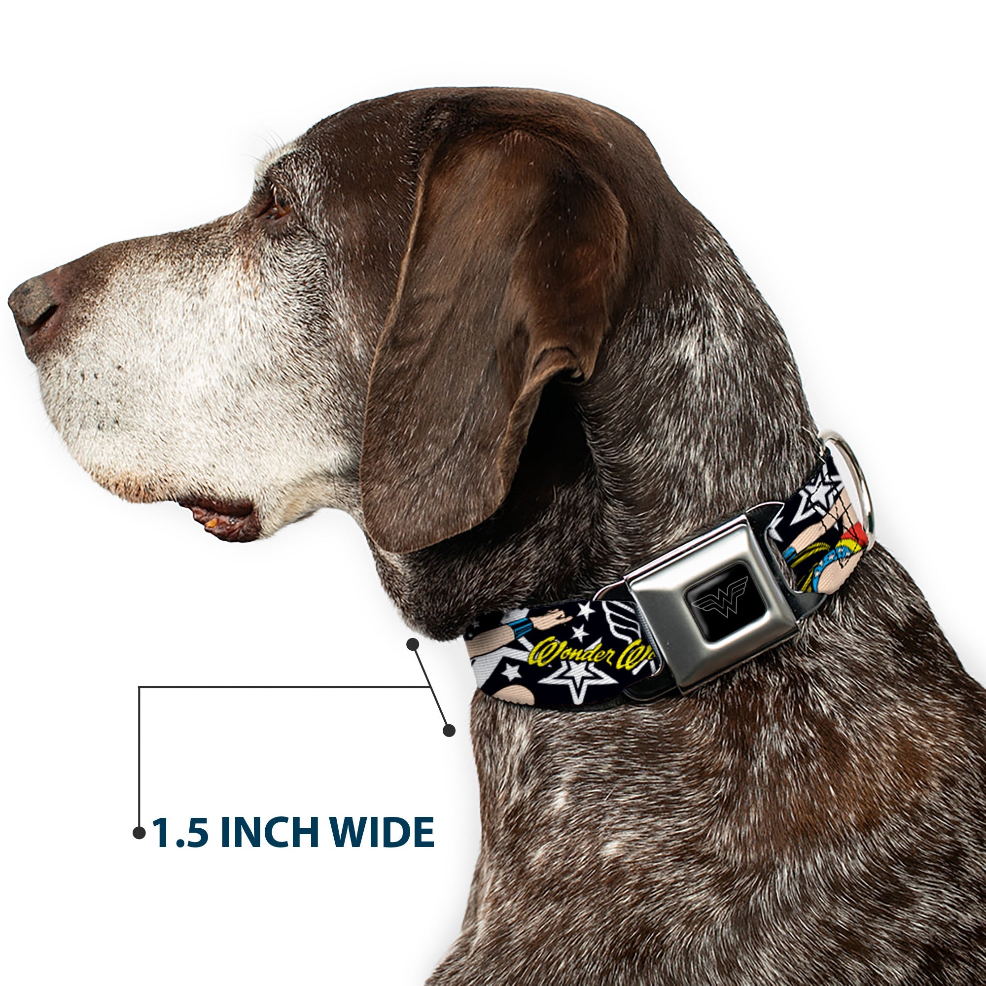 Wonder Woman Black Silver Seatbelt Buckle Collar - Wonder Woman/StarsÂ Black/White