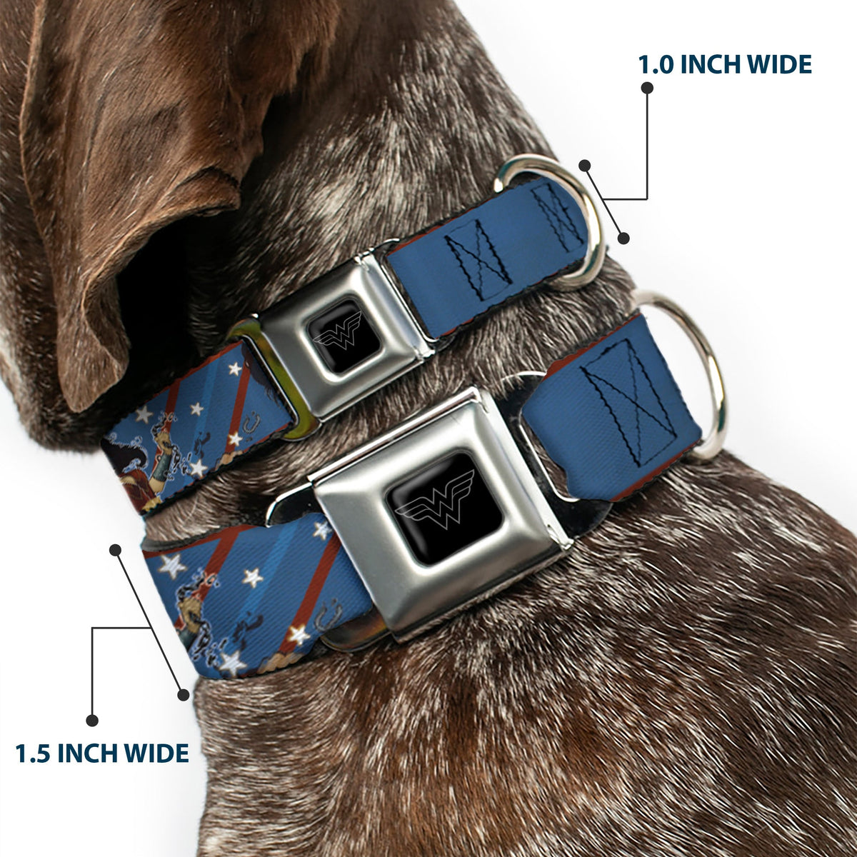 Wonder Woman Logo Black/Silver Seatbelt Buckle Collar - WONDER WOMAN/Bombshell Pose Blue/Red/White