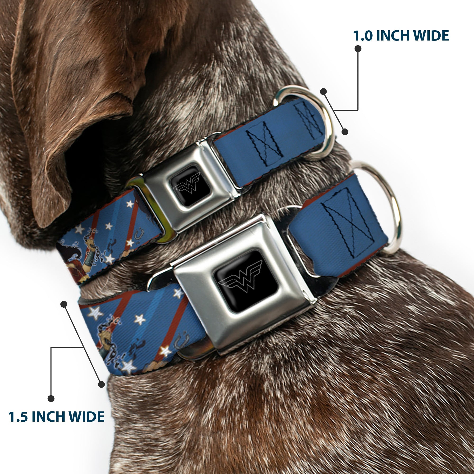 Wonder Woman Logo Black/Silver Seatbelt Buckle Collar - WONDER WOMAN/Bombshell Pose Blue/Red/White