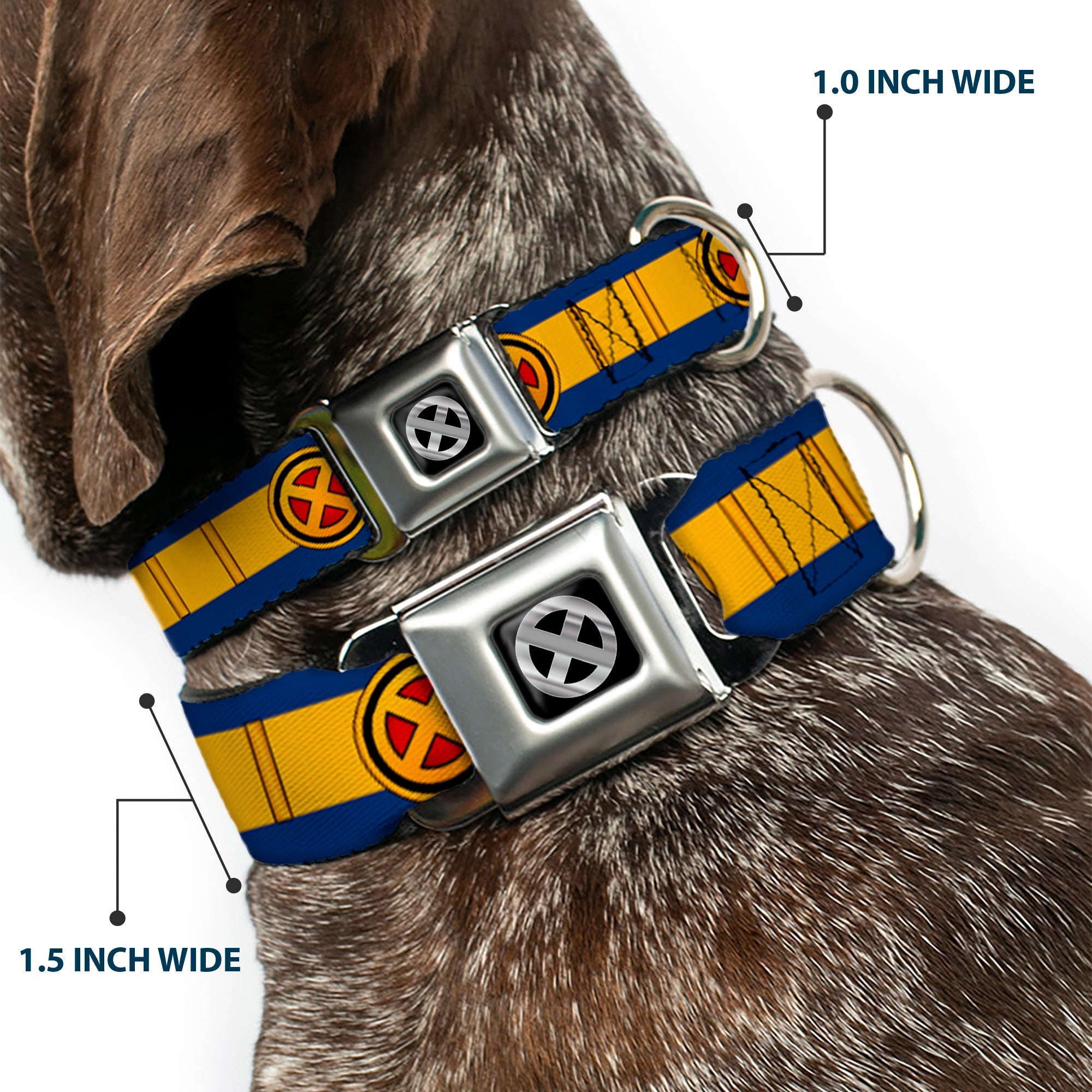 X-Men Icon Black/Silver Gradient Seatbelt Buckle Collar - X-Men Cyclops Utility Strap Blue/Gold/Black/Red