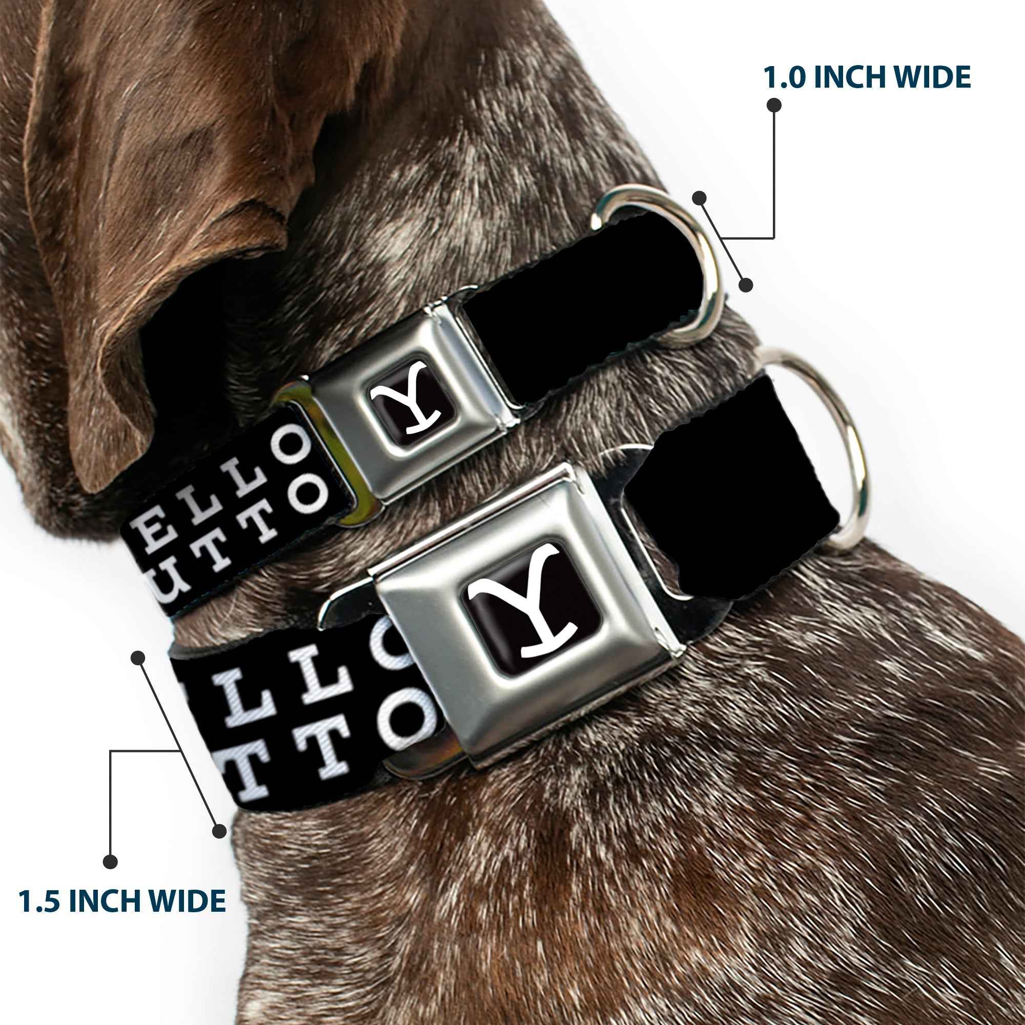 Buckle-Down Yellowstone Y Logo Full Color Black/White Seatbelt Buckle Dog Collar - Yellowstone Dutton Ranch and Logo Black/White