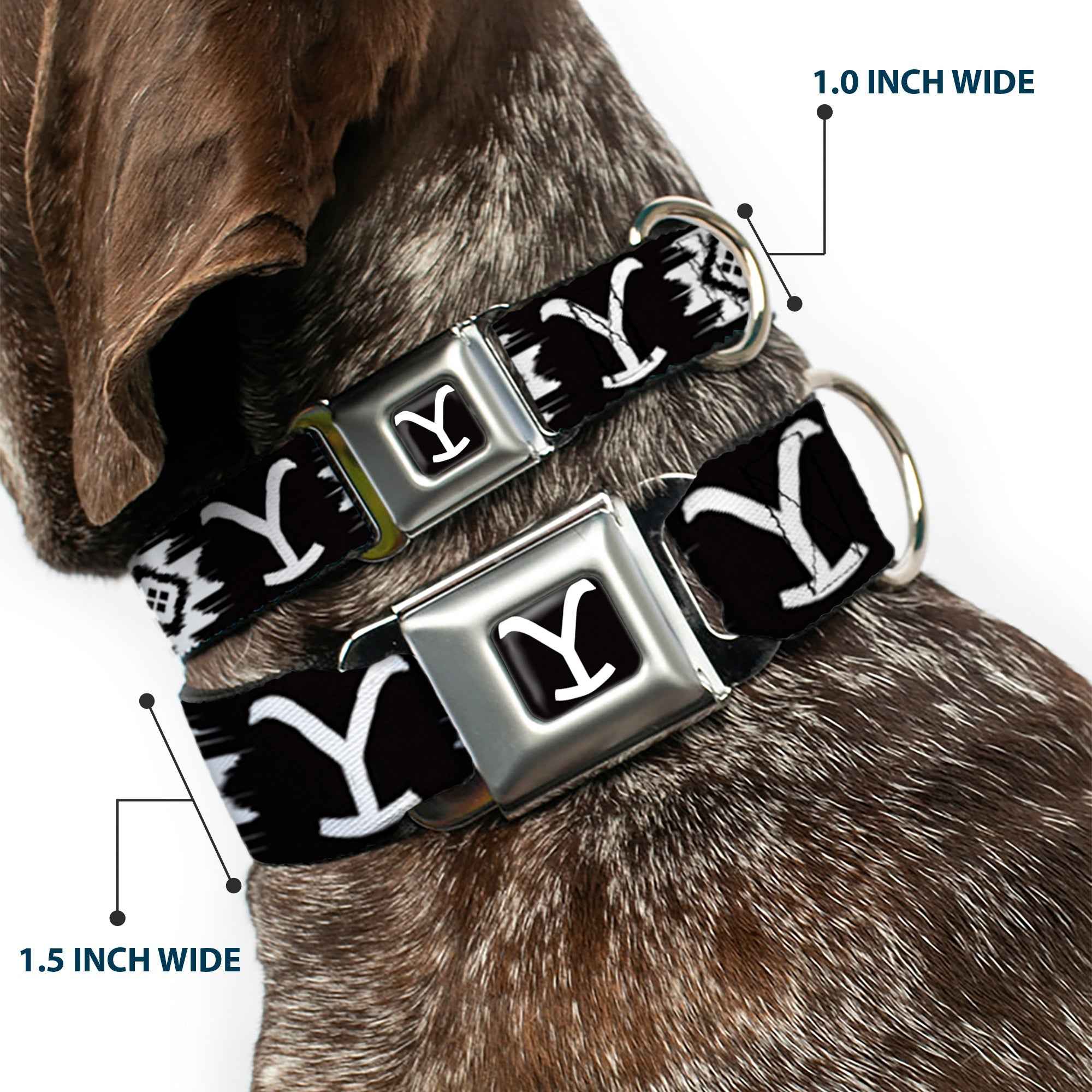 Buckle-Down Yellowstone Y Logo Full Color Black/White Seatbelt Buckle Dog Collar - Yellowstone Dutton Ranch and Native American Icons Black/White