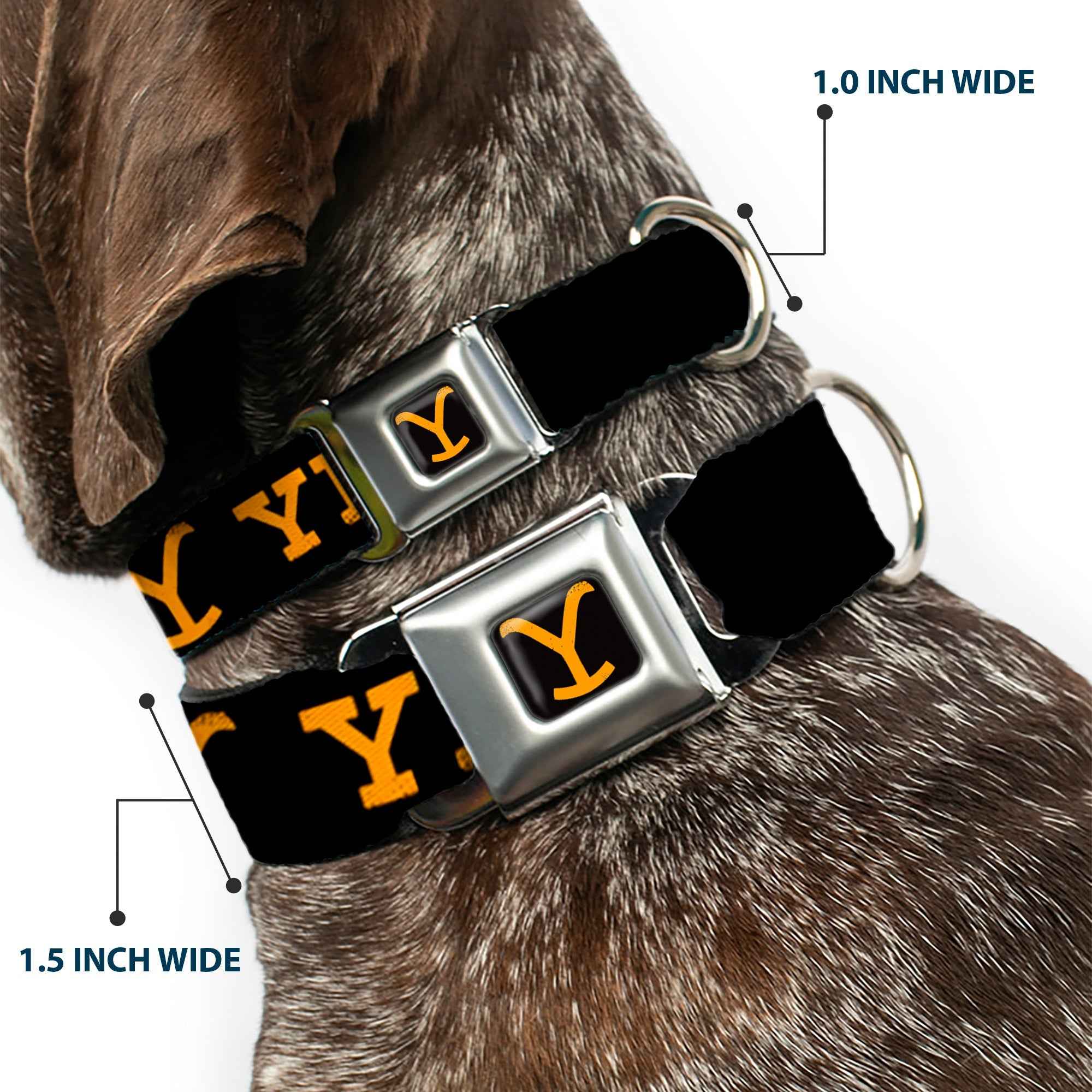 Buckle-Down Yellowstone Y Logo Full Color Black/Orange Seatbelt Buckle Dog Collar - Yellowstone Text and Y Logo Weathered Black/Orange