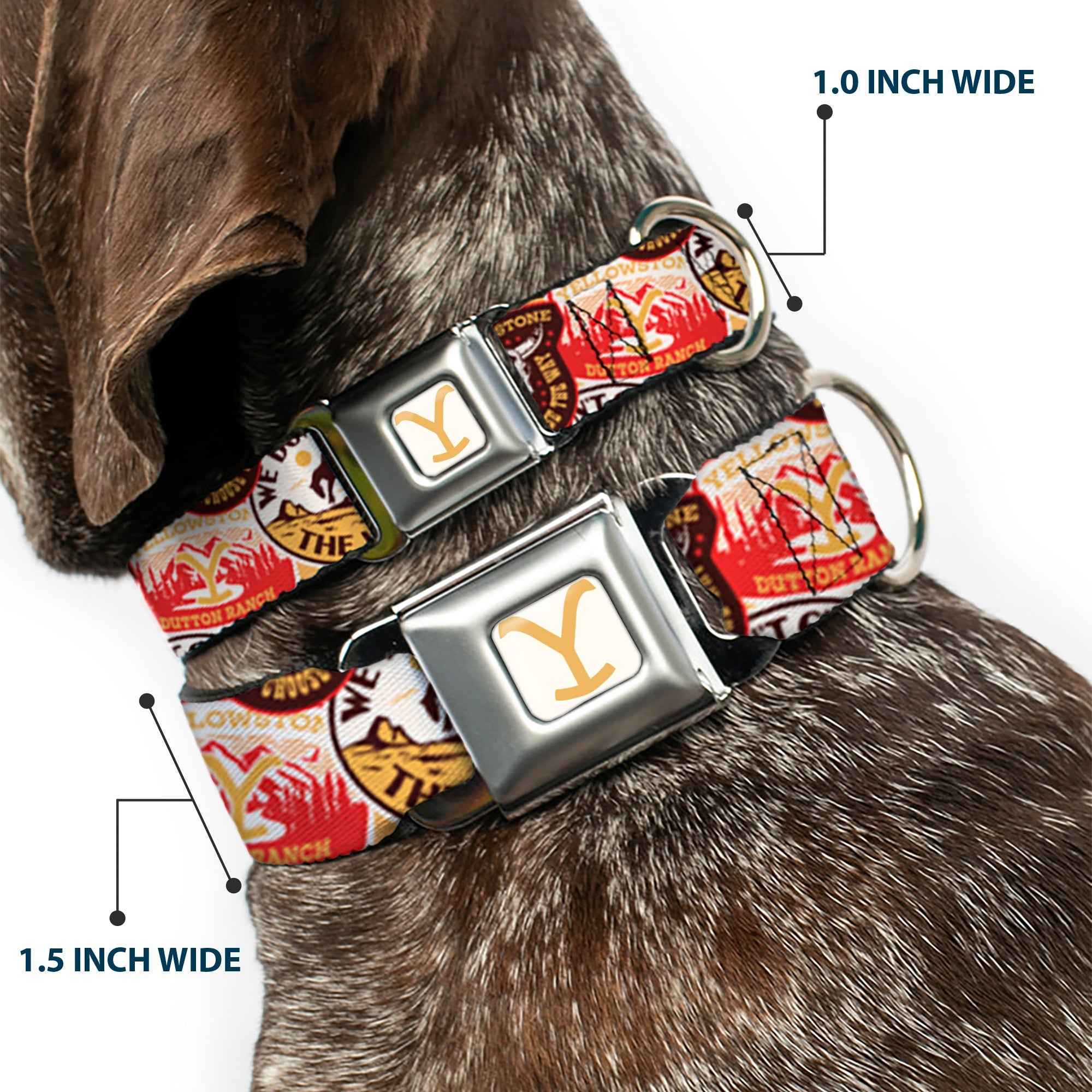 Buckle-Down Yellowstone Y Logo Full Color White/Yellow Seatbelt Buckle Dog Collar - Yellowstone Patches Stacked Browns/Reds/Yellows