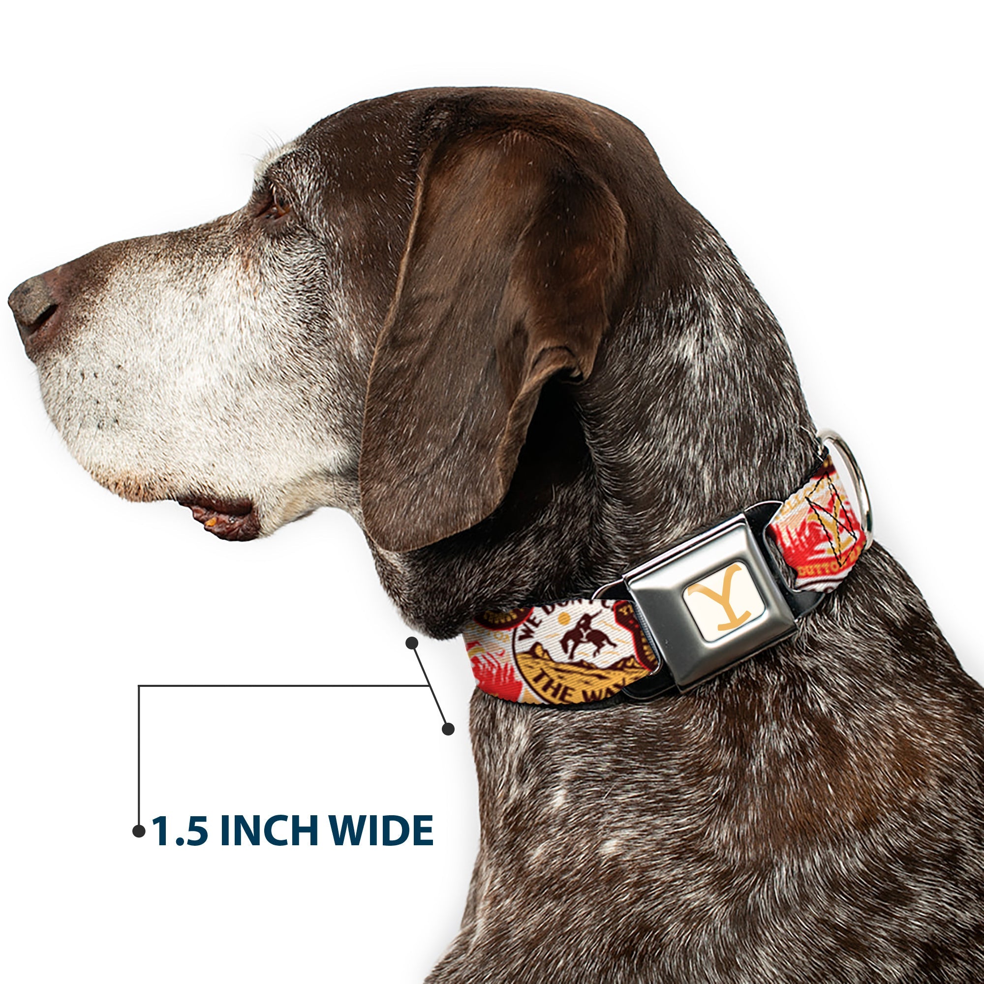 Buckle-Down Yellowstone Y Logo Full Color White/Yellow Seatbelt Buckle Dog Collar - Yellowstone Patches Stacked Browns/Reds/Yellows
