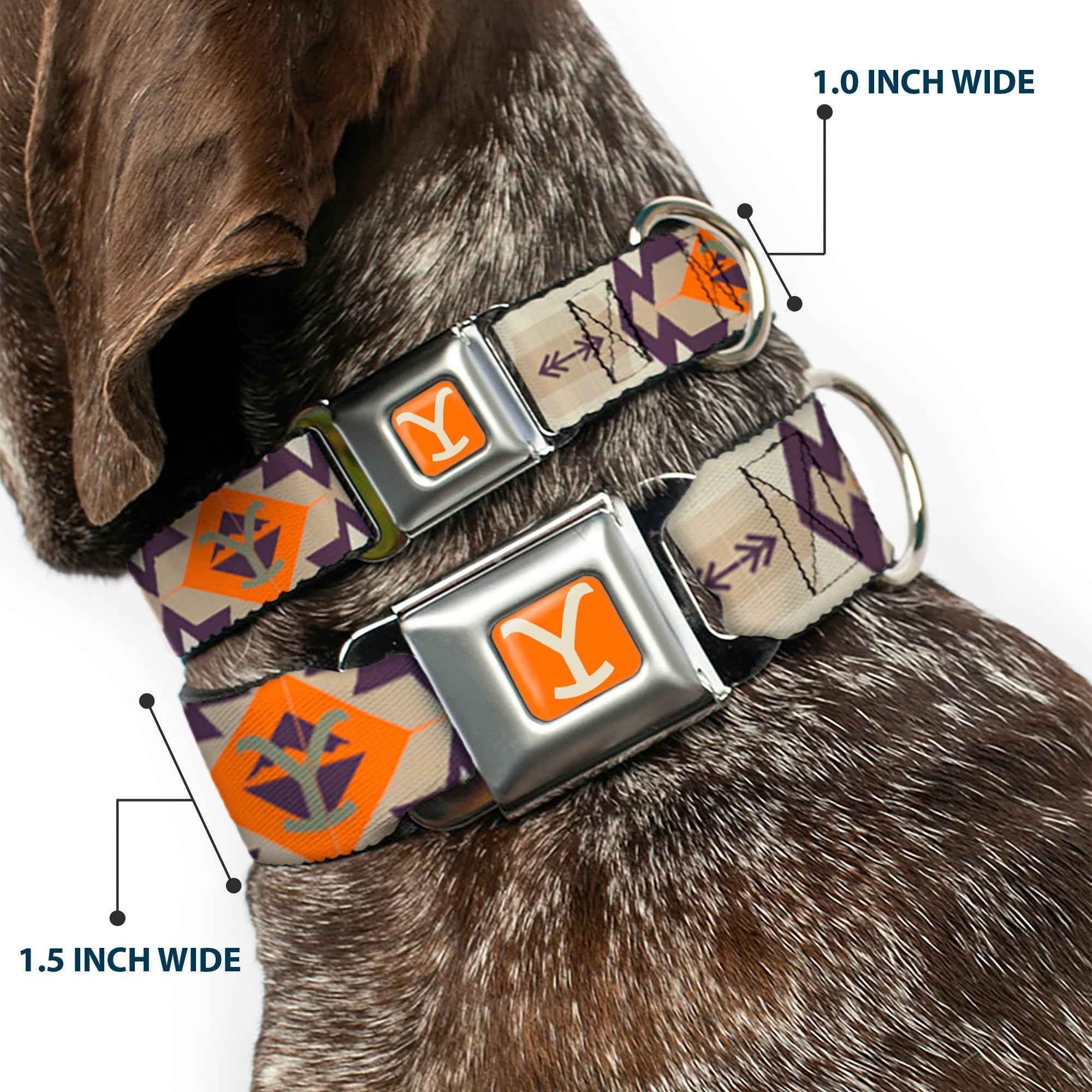 Buckle-Down Yellowstone Y Logo Weathered Orange/Beige & Native American Tribal Tans/Blue/Orange Seatbelt Buckle Dog Collar