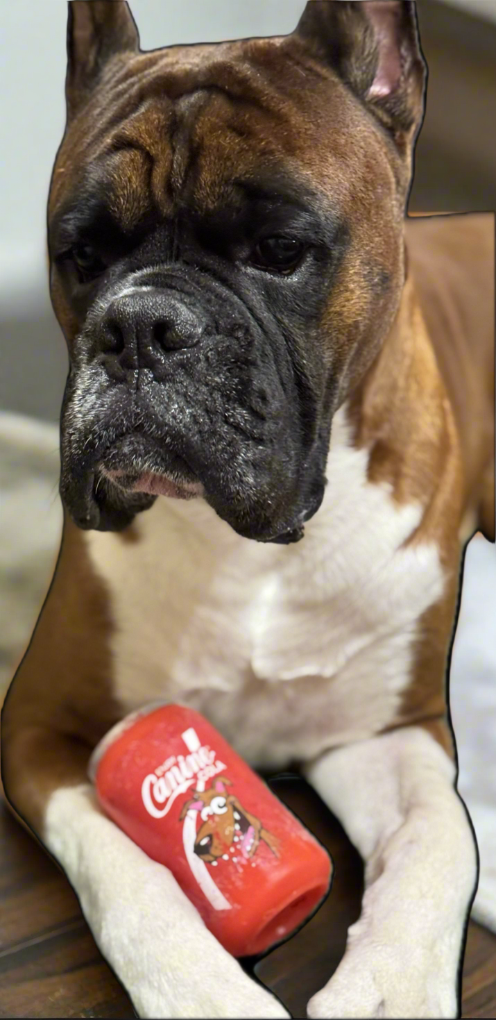 Silly Squeakers® Soda Can - Canine Cola