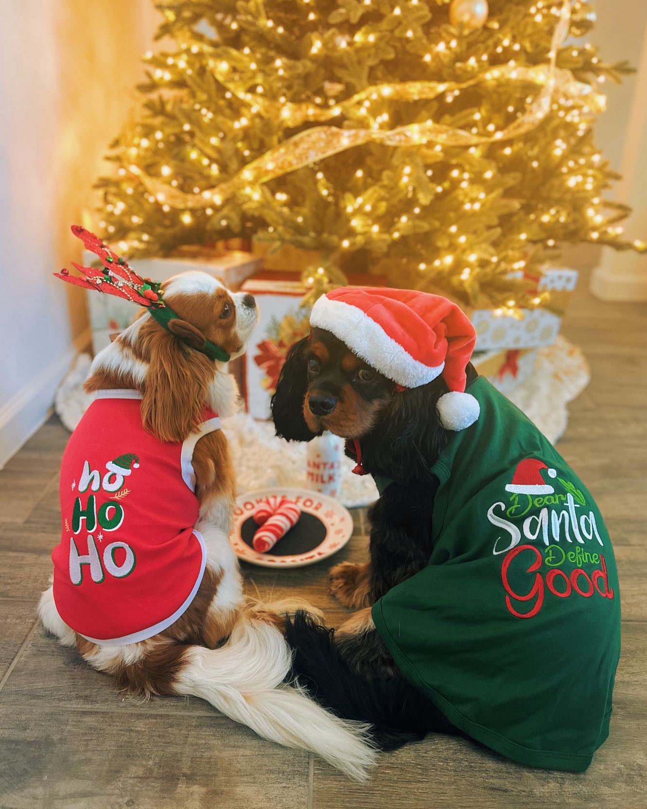 Parisian Pet Ho Ho Ho Pet Holiday Shirt-Red