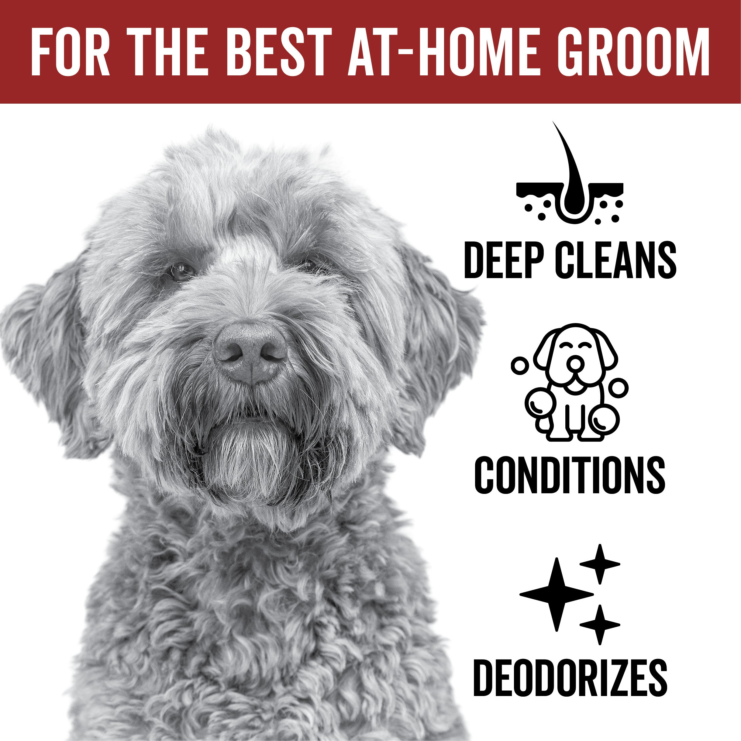 DOGDAYS Hydrating Dog Shampoo for Curly & Wavy Coats - Tear-Free, Vegan, and Hypoallergenic