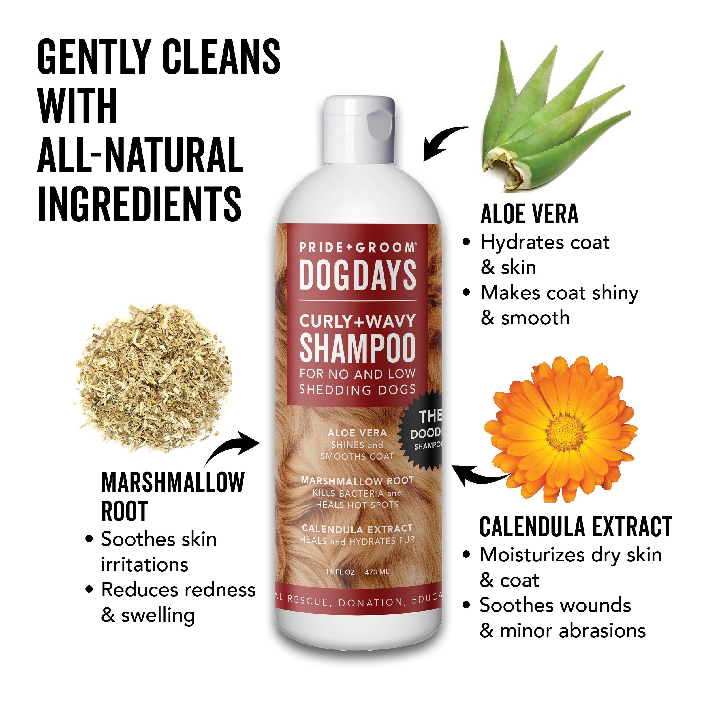 DOGDAYS Hydrating Dog Shampoo for Curly & Wavy Coats - Tear-Free, Vegan, and Hypoallergenic