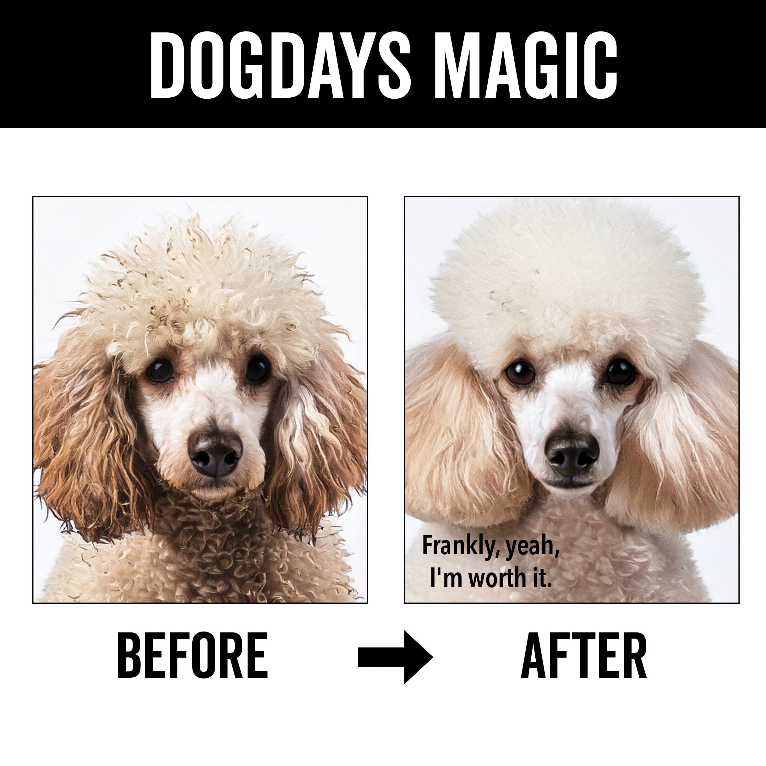 DOGDAYS Hydrating Dog Shampoo for Curly & Wavy Coats - Tear-Free, Vegan, and Hypoallergenic