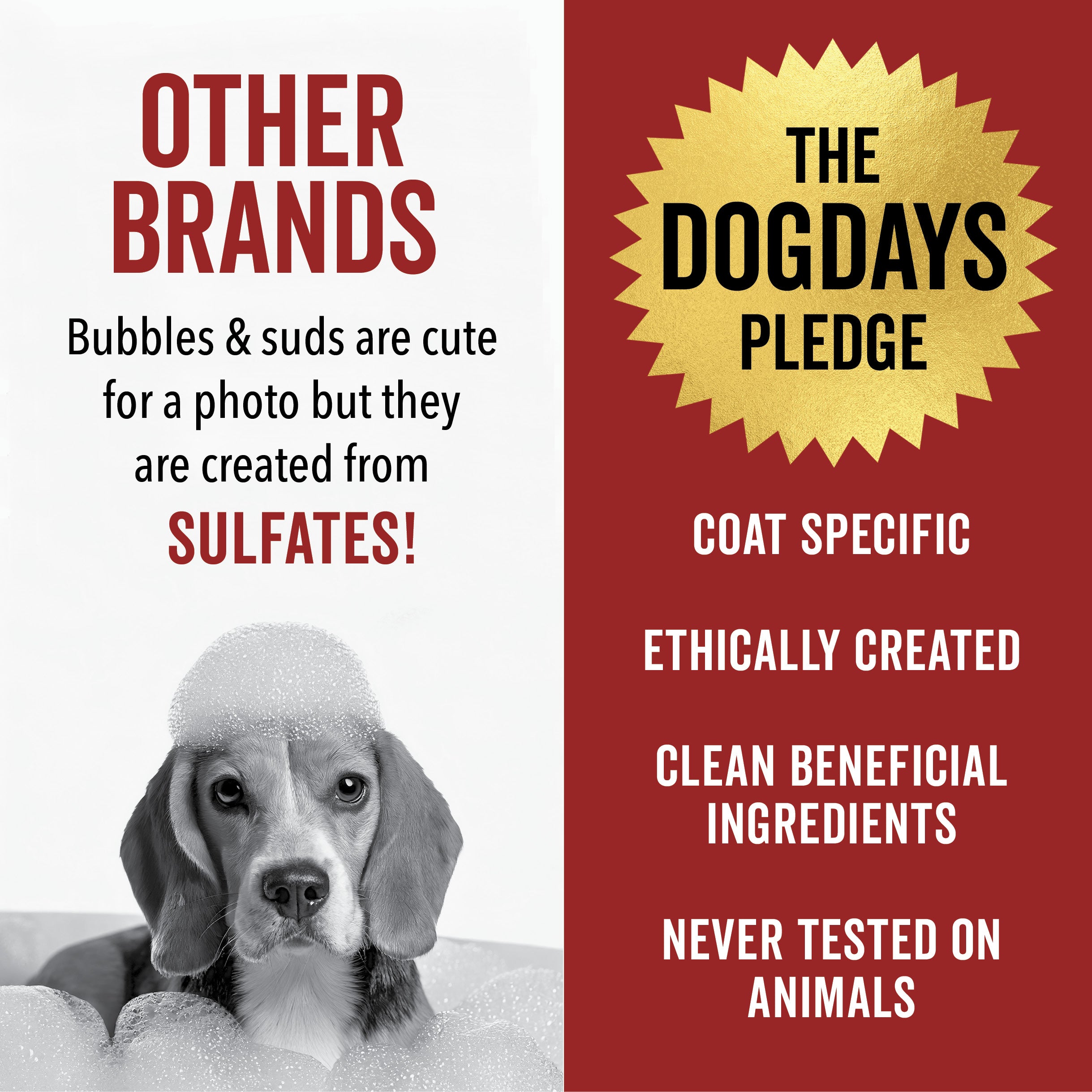 DOGDAYS Hydrating Dog Shampoo for Curly & Wavy Coats - Tear-Free, Vegan, and Hypoallergenic