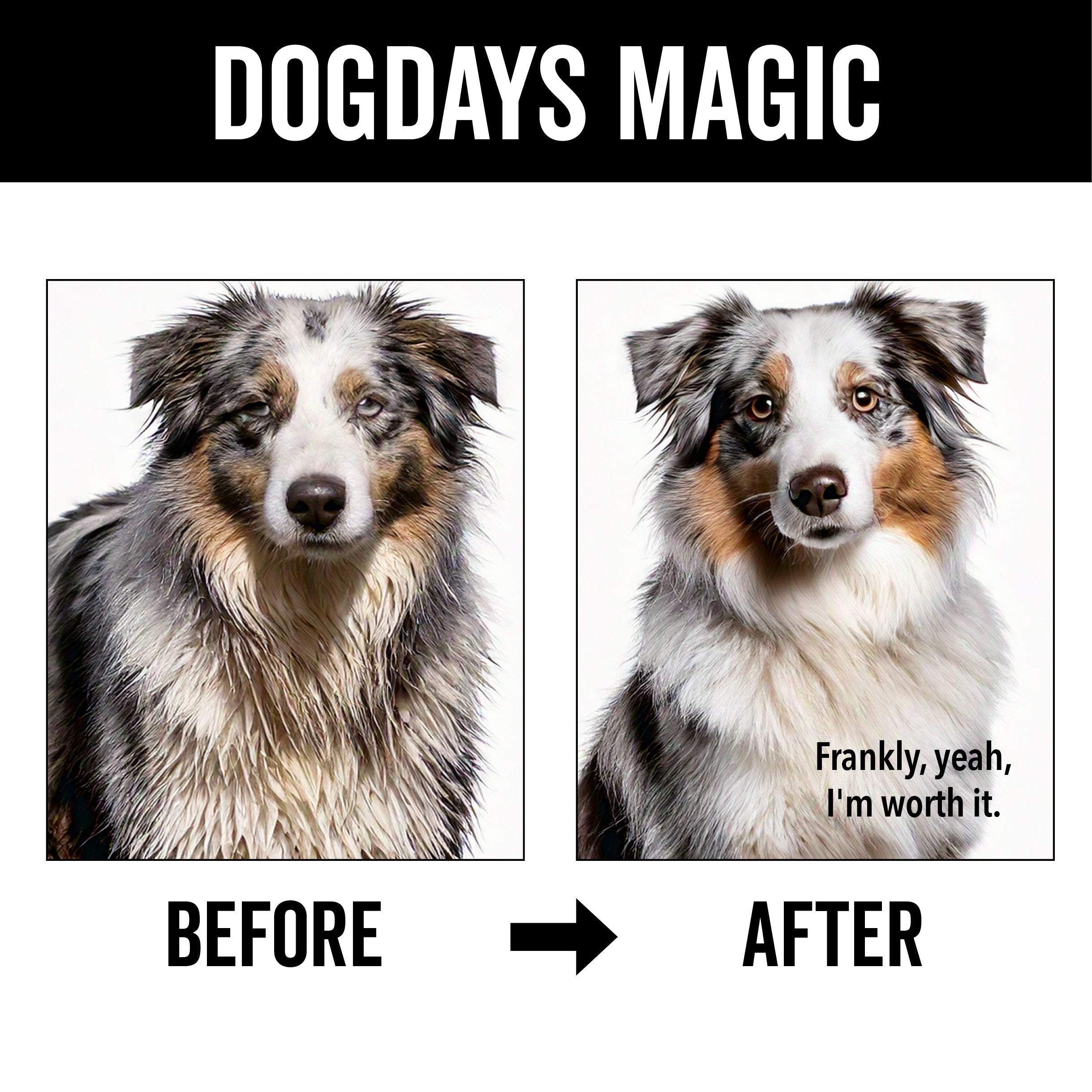 DOGDAYS De-Shedding Shampoo - Deep Moisturizing Deshedding Formula for Dogs