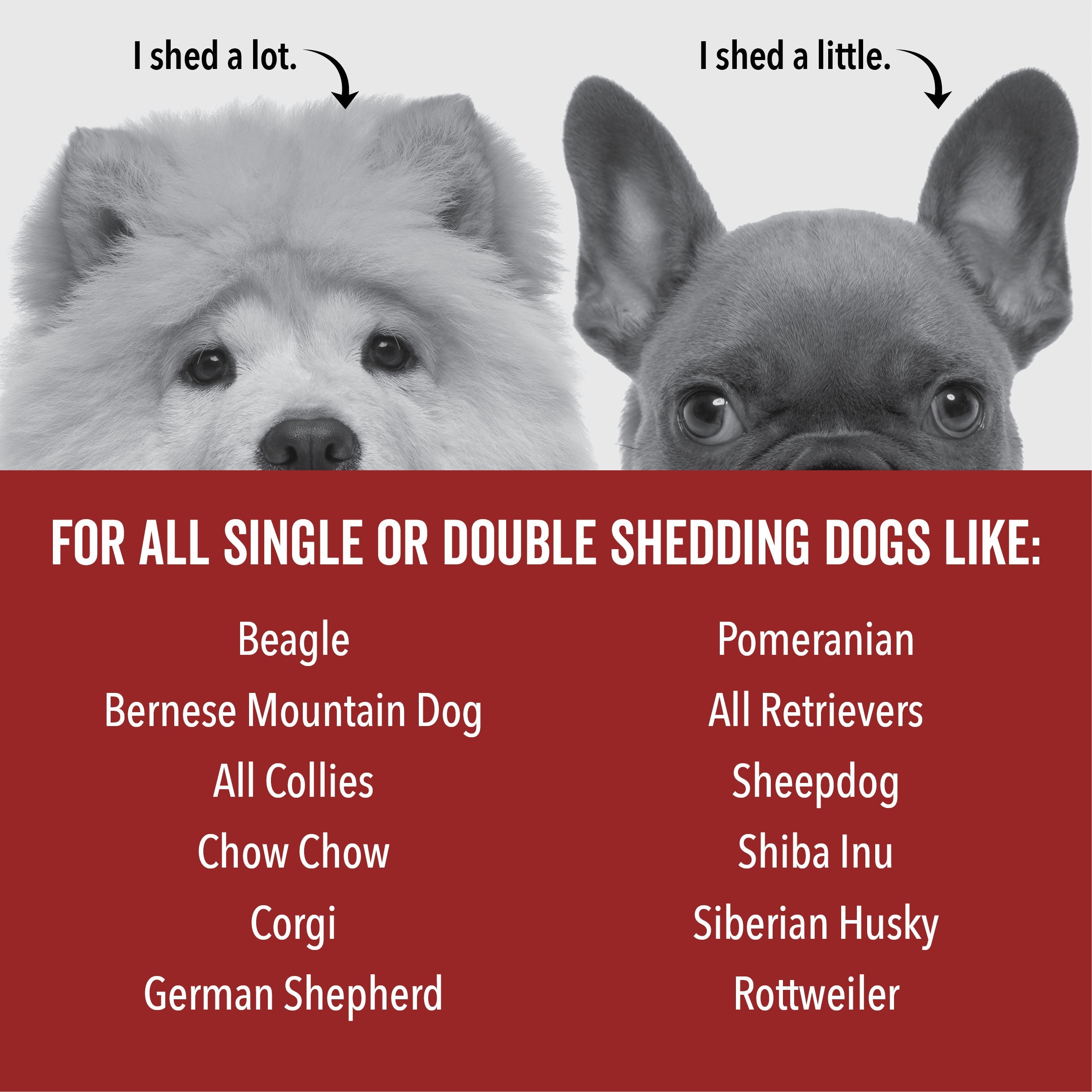DOGDAYS De-Shedding Shampoo - Deep Moisturizing Deshedding Formula for Dogs