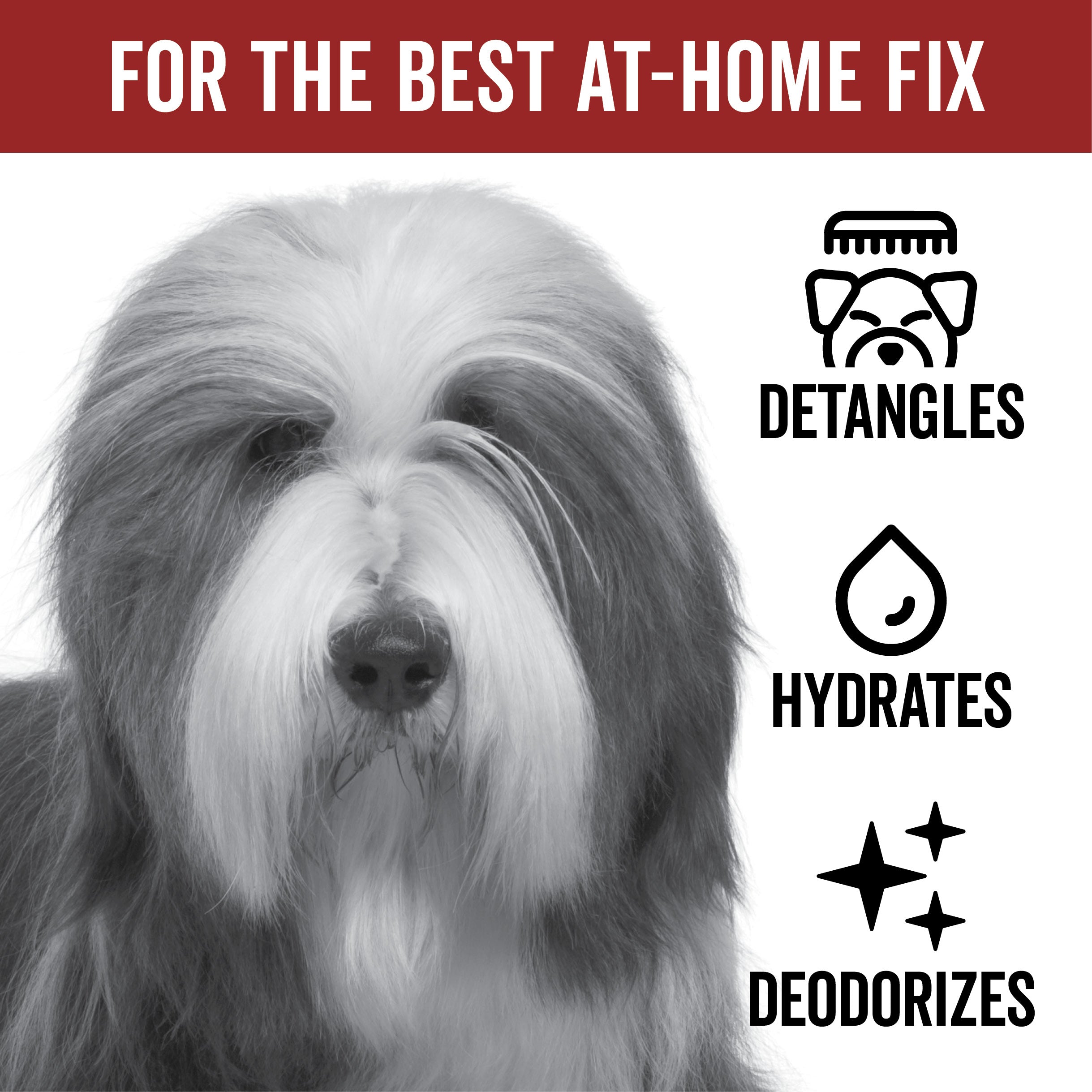 DOGDAYS Leave-In Detangling Spray - Hydrating, Frizz-Control Formula for All Coat Types