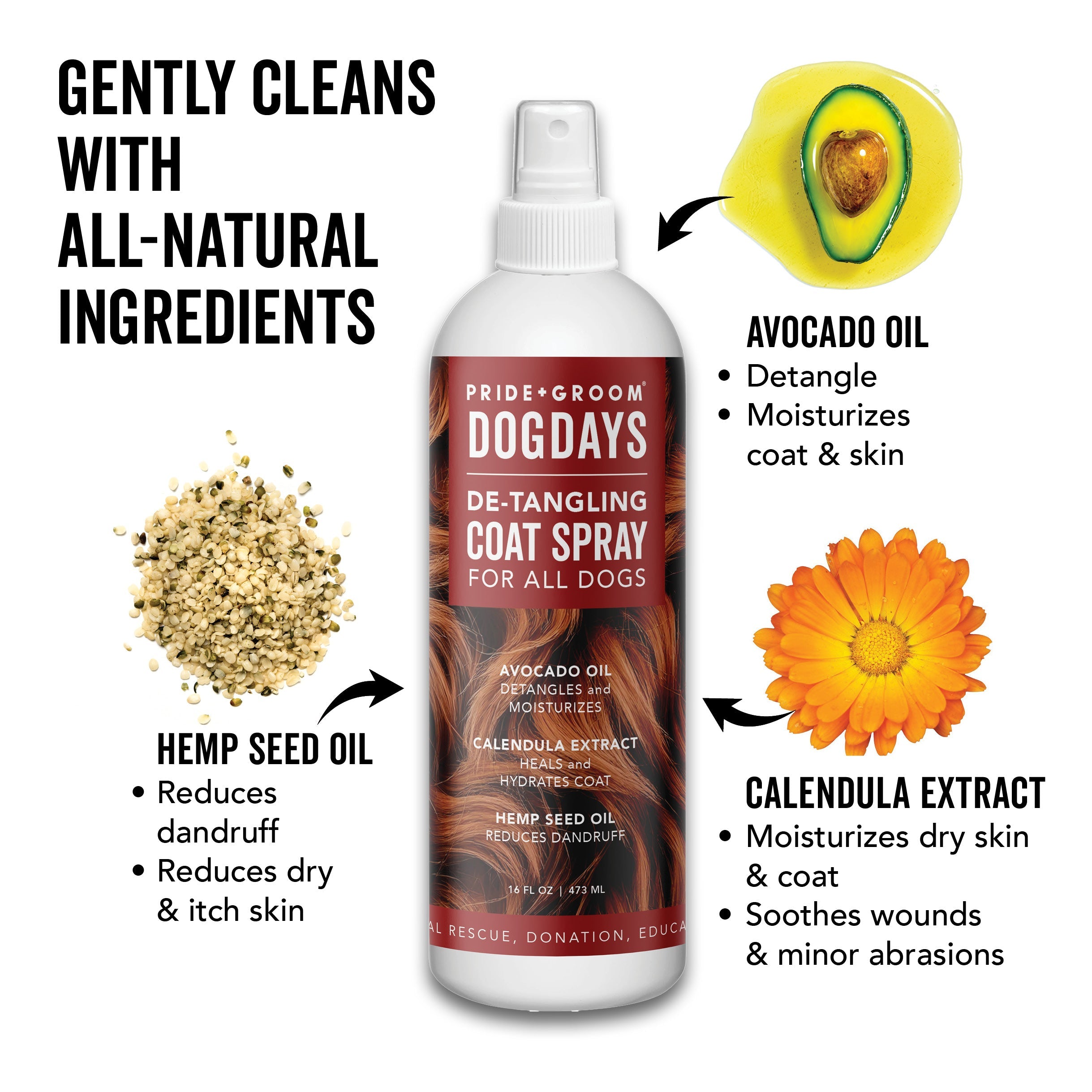 DOGDAYS Leave-In Detangling Spray - Hydrating, Frizz-Control Formula for All Coat Types