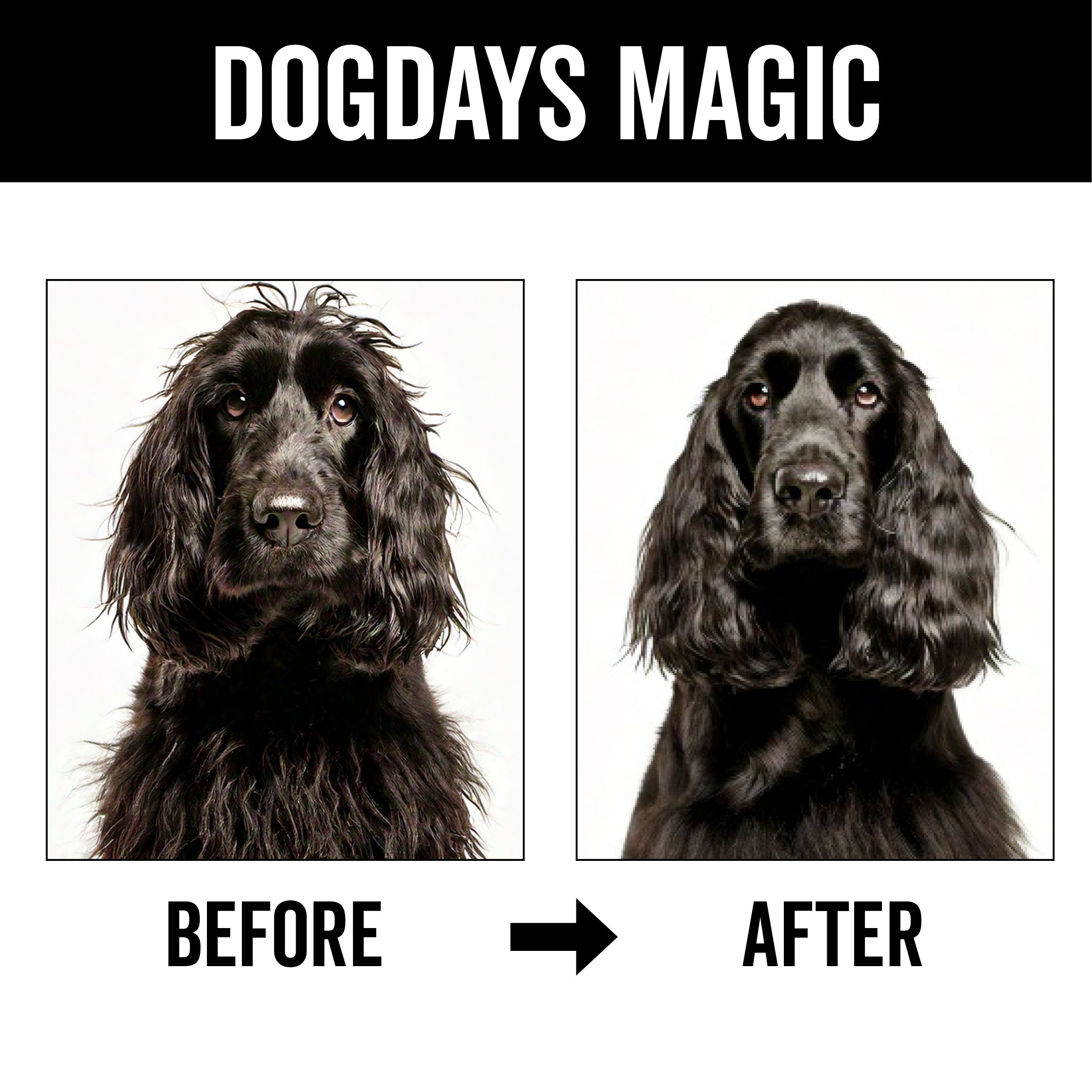 DOGDAYS Leave-In Detangling Spray - Hydrating, Frizz-Control Formula for All Coat Types