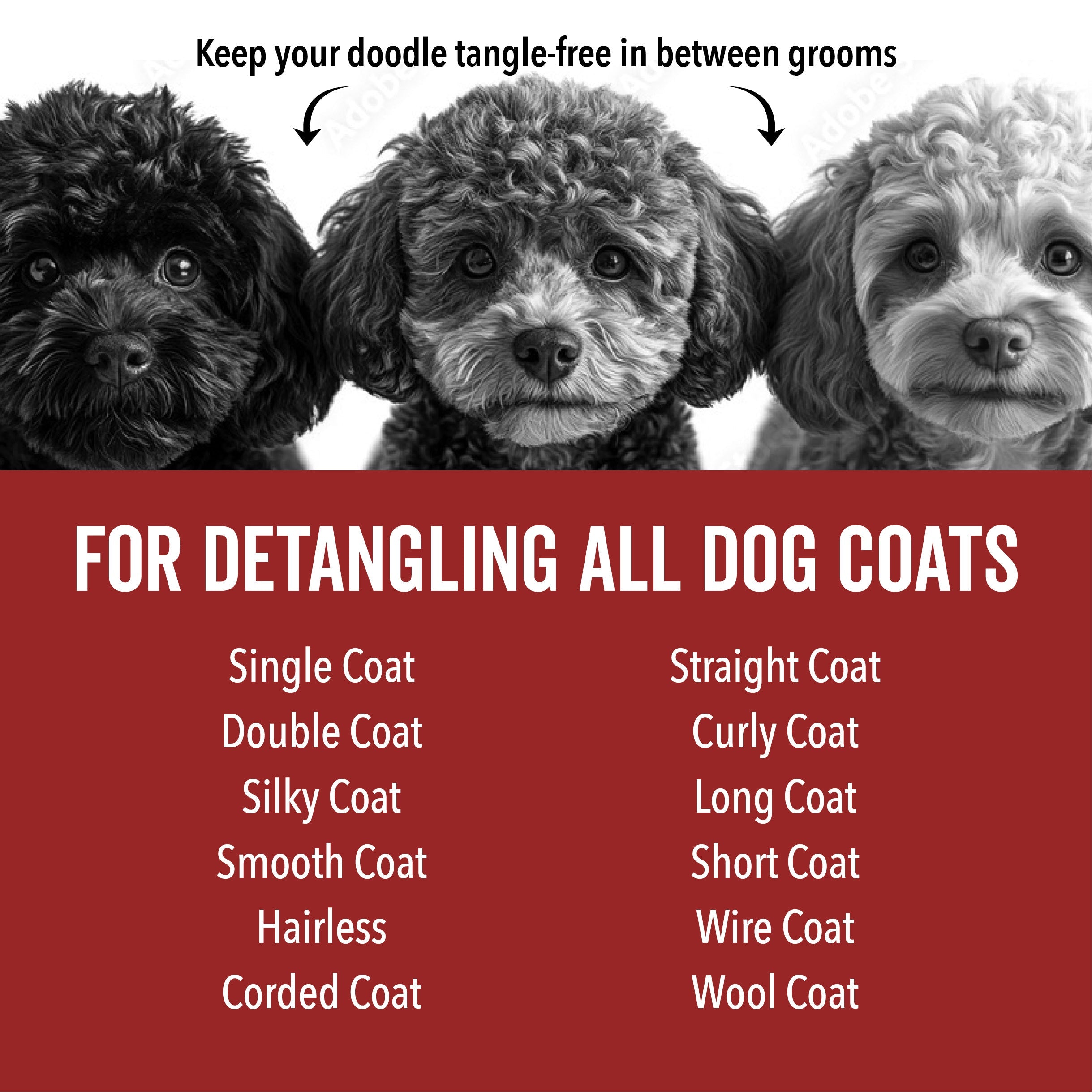 DOGDAYS Leave-In Detangling Spray - Hydrating, Frizz-Control Formula for All Coat Types