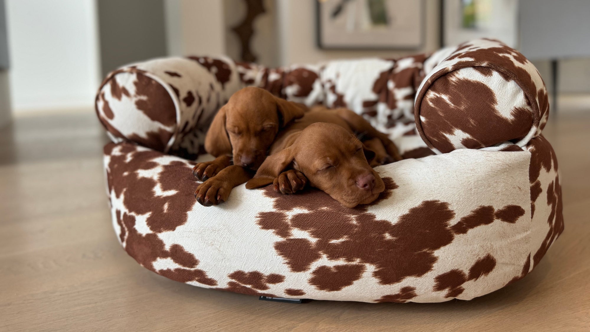 Bowsers Double Donut Calming Dog Bed - Luxury Orthopedic Sofa Bed