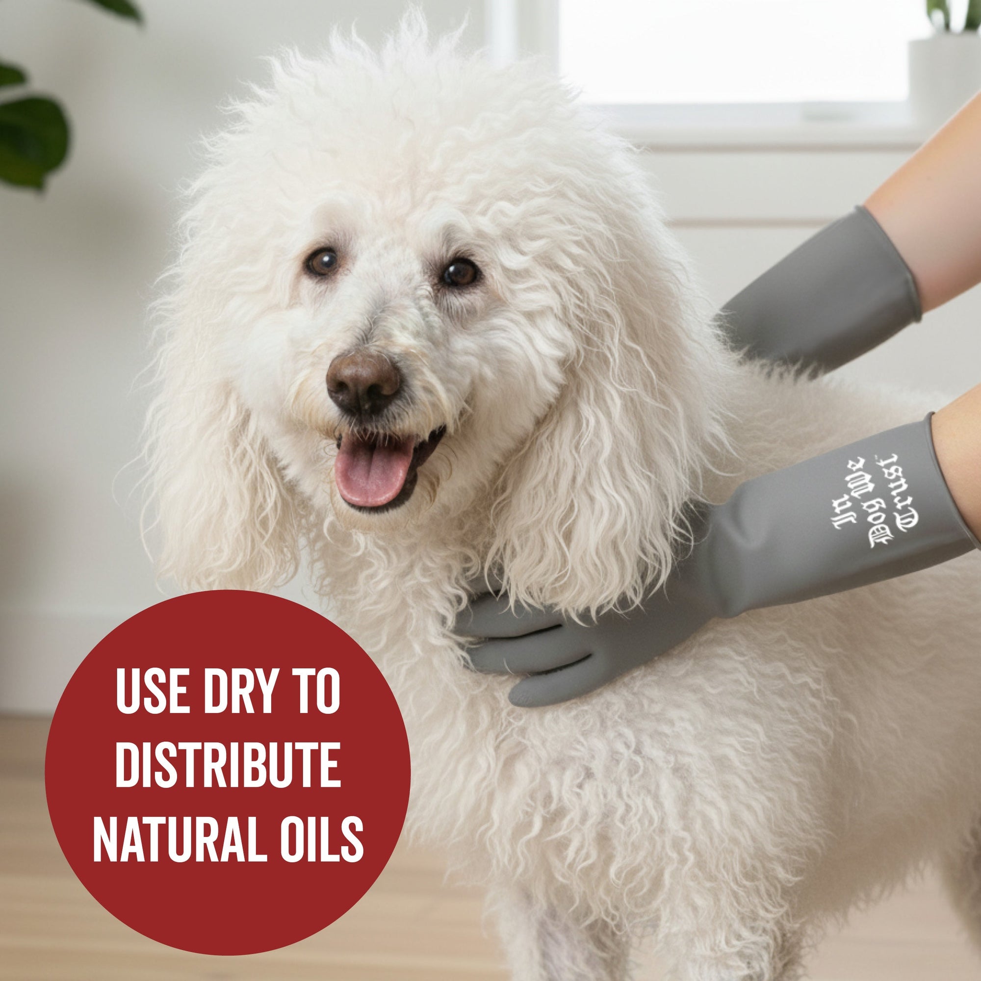 PRIDE+GROOM Silicone Dog Bath Scrubber Gloves