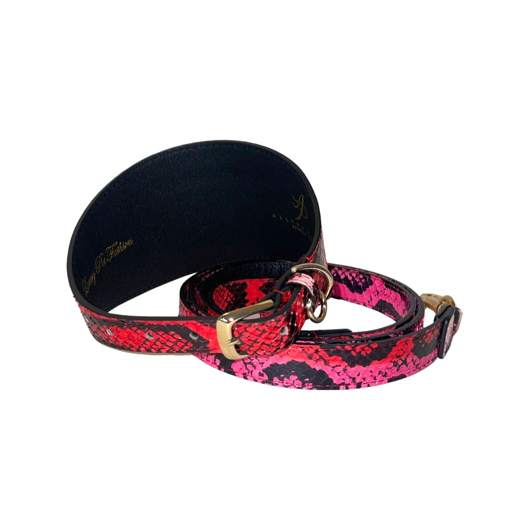 Fuchsia/Light Pink/Red & Black Custom Snake 4" Wide Style Collar & Leash Set