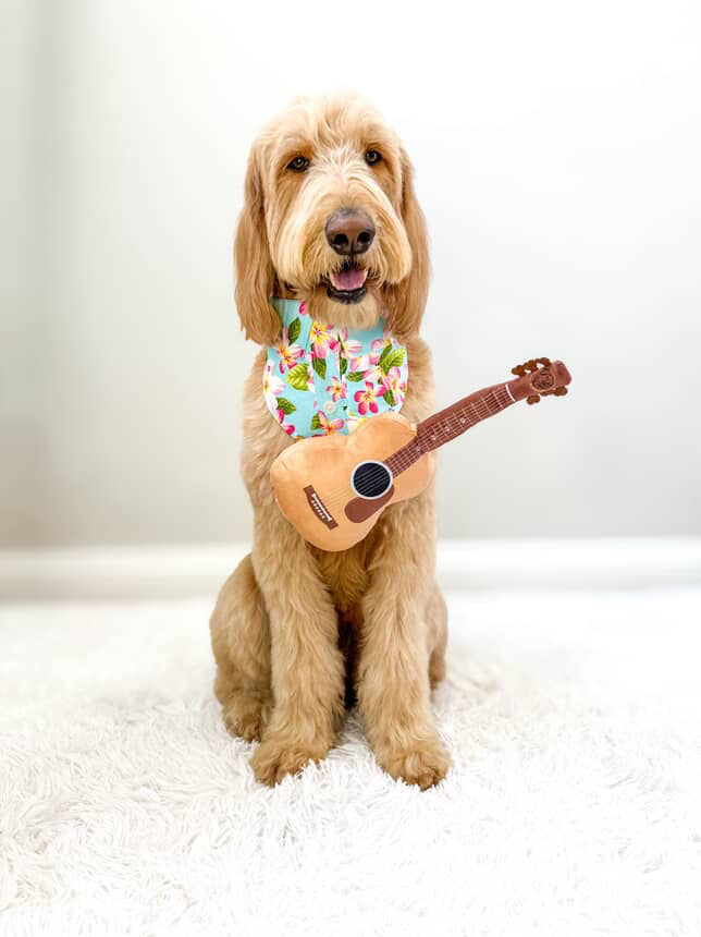 PUPROAR Guitar Dog Toy - Cute Squeaky Plush Dog Toy with Crinkle