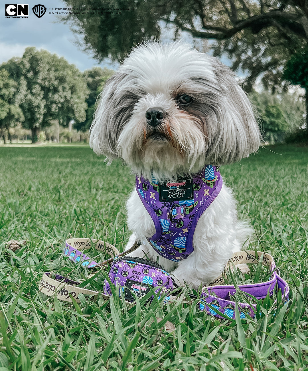 Dog Adjustable Harness - Mojo Jojo™