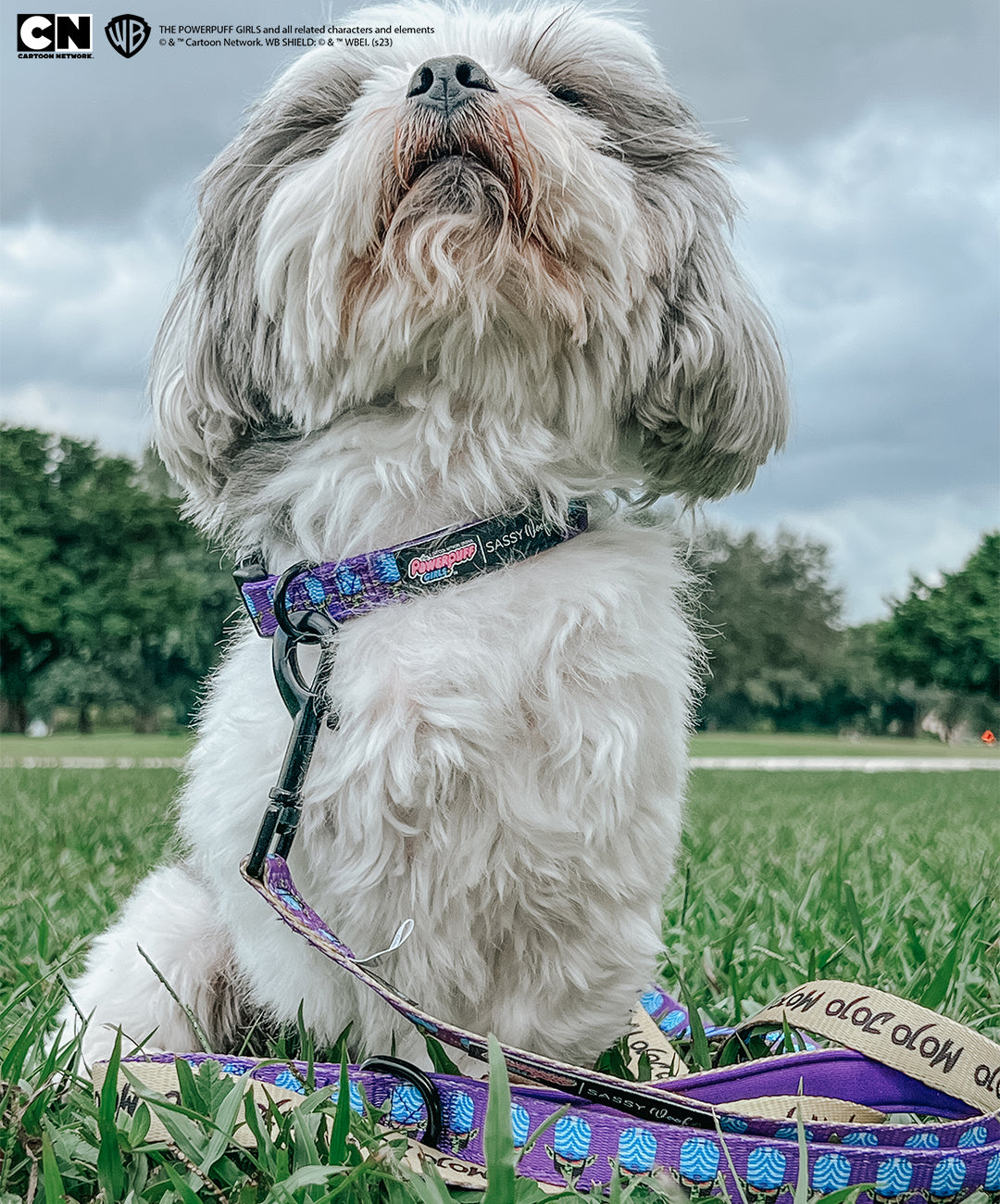 Dog Collar - Mojo Jojo™