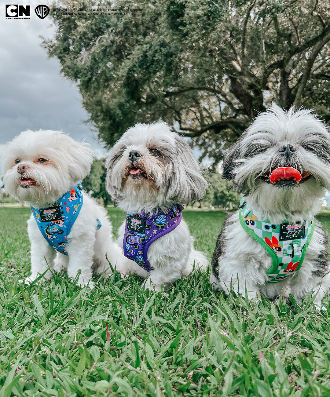 Dog Adjustable Harness - Mojo Jojo™
