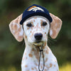 NFL Denver Broncos Dog Hat
