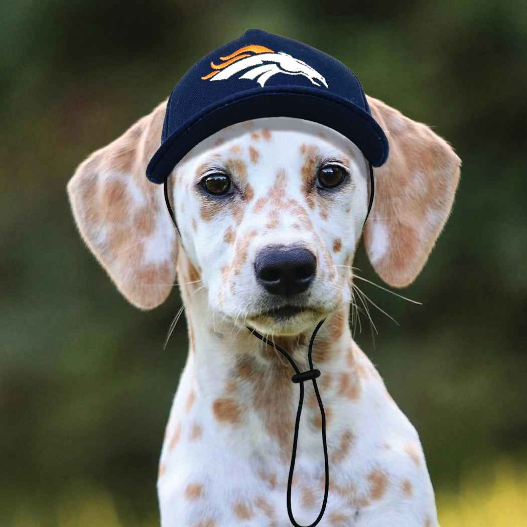 NFL Denver Broncos Dog Hat