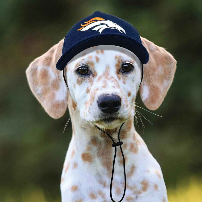 NFL Denver Broncos Dog Hat