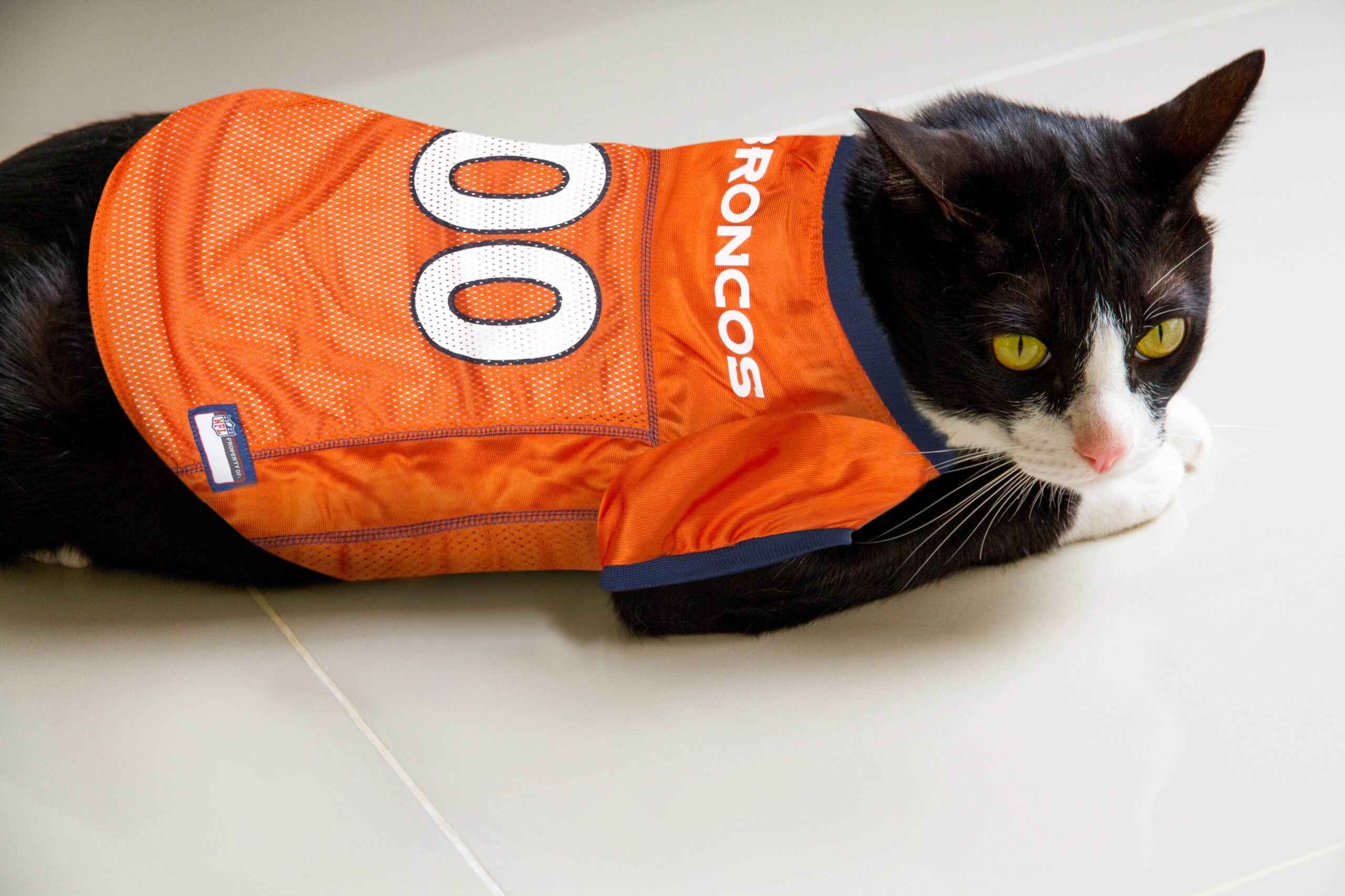 NFL Denver Broncos Mesh Pet Jersey
